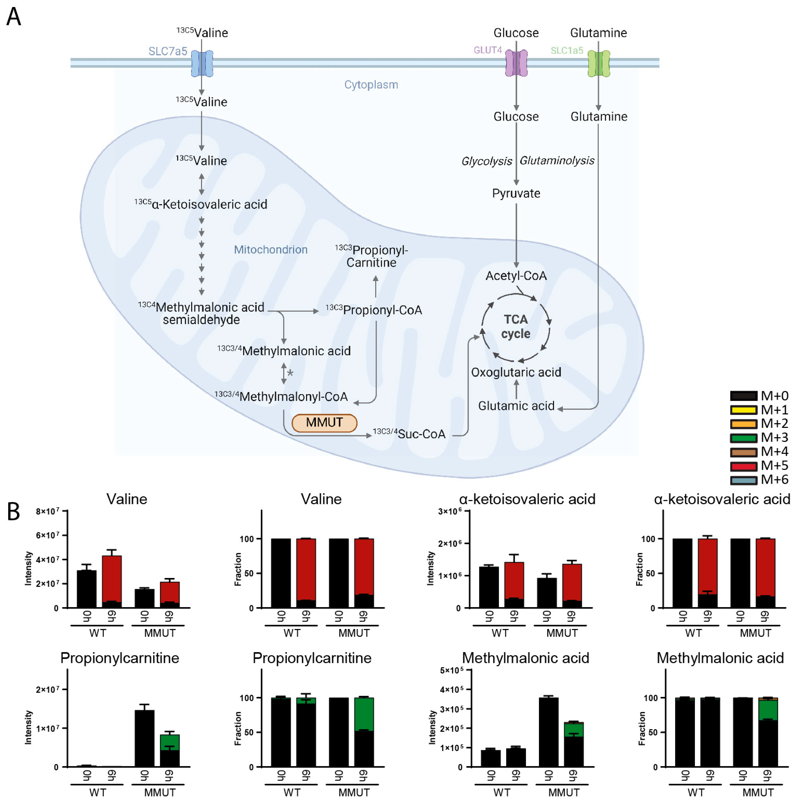 Metabolites 14 00246 g004