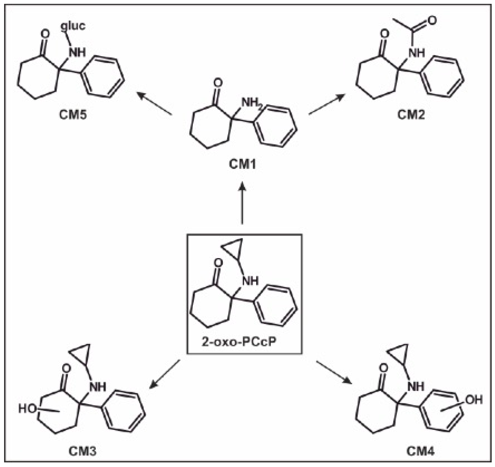 Metabolites 14 00270 g002