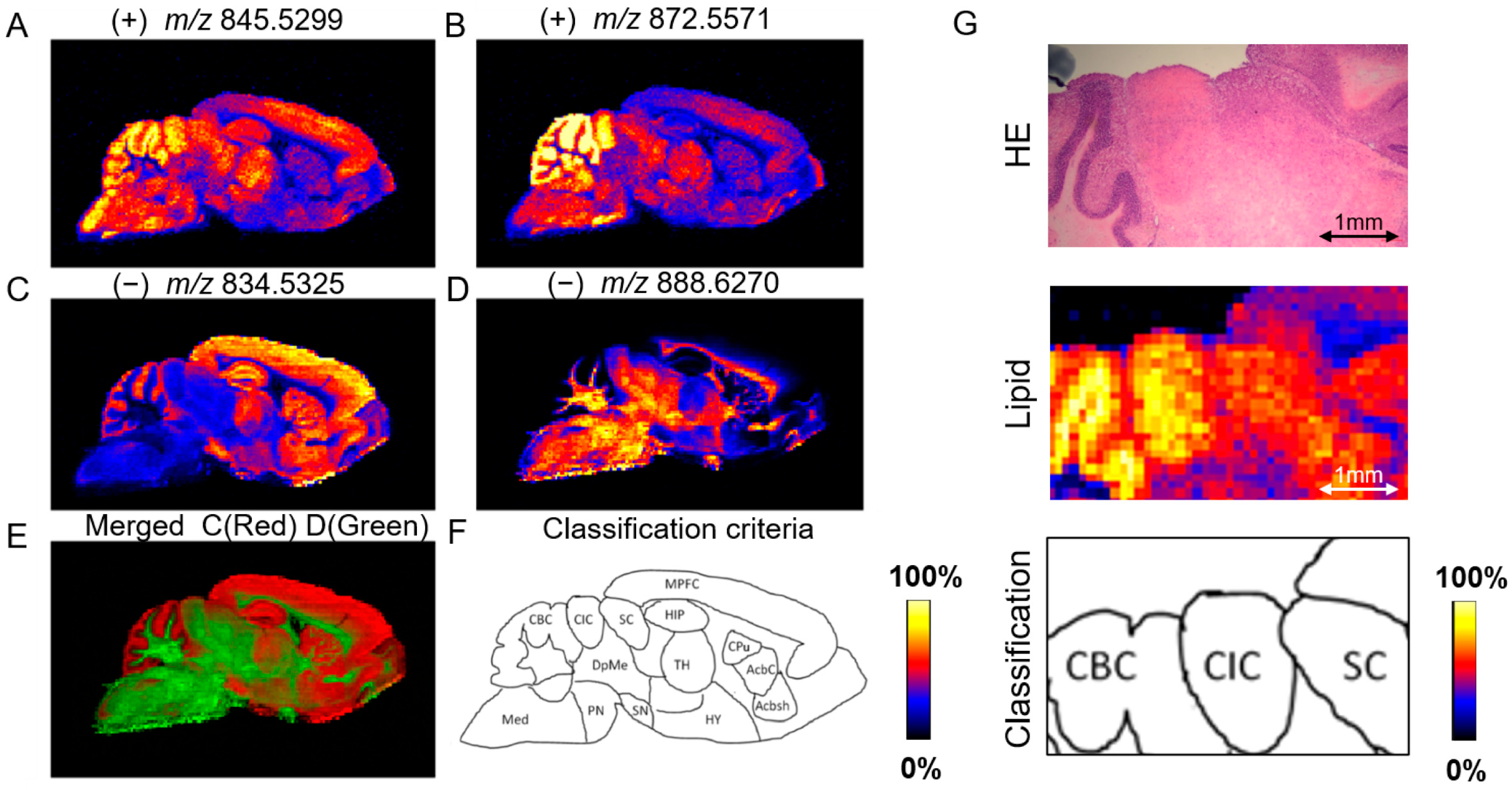 Metabolites 14 00284 g002