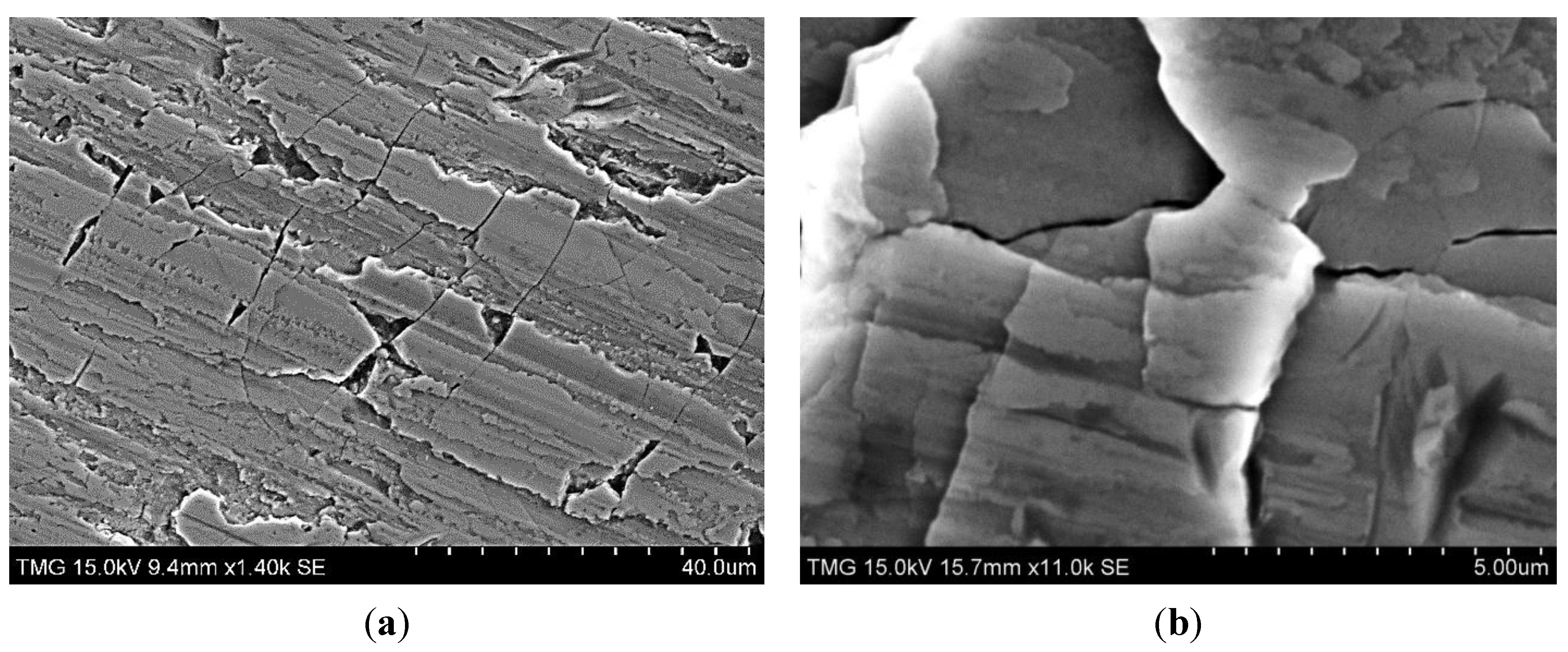 Metals 05 01462 g015