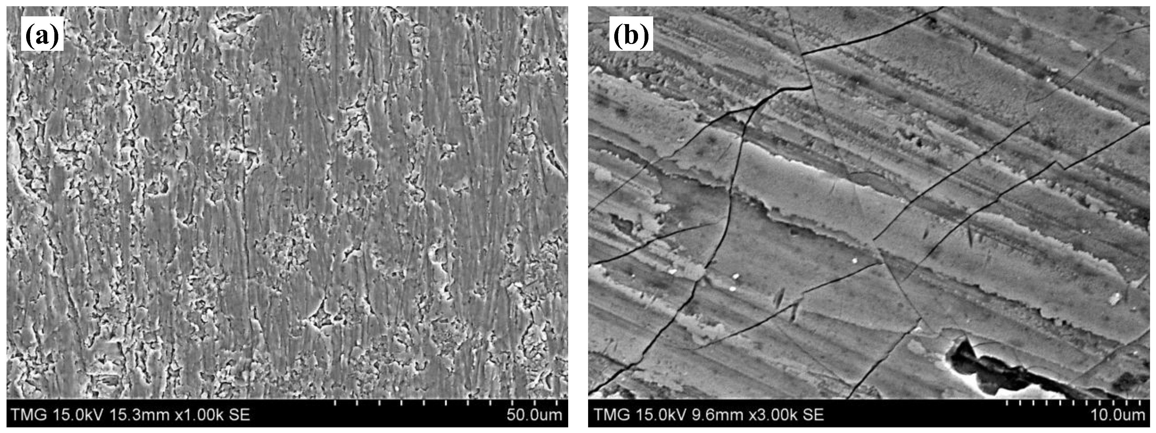 Metals 05 01462 g020