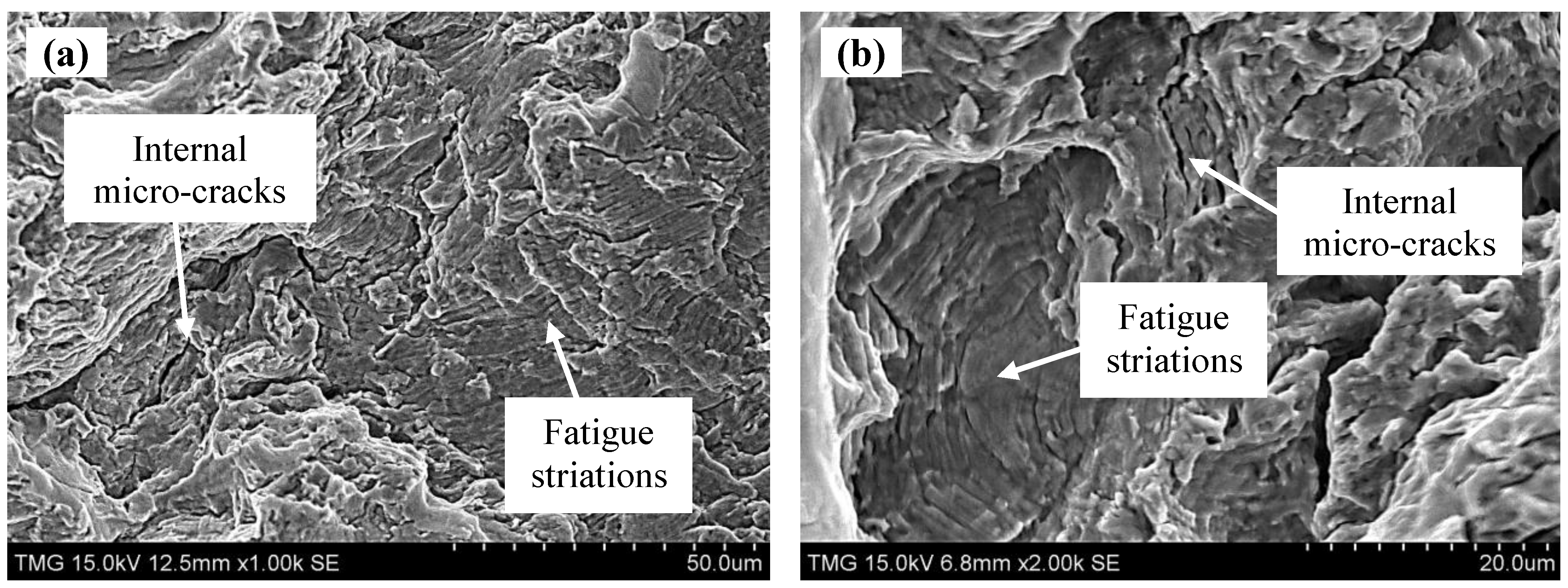 Metals 05 01462 g024