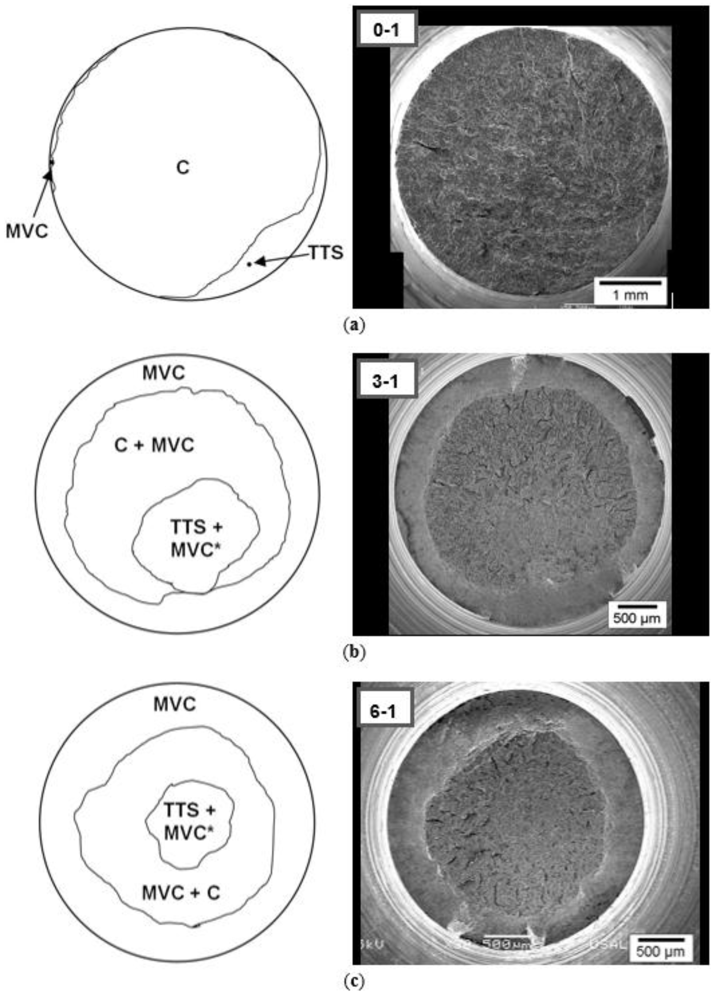 Metals 06 00011 g004