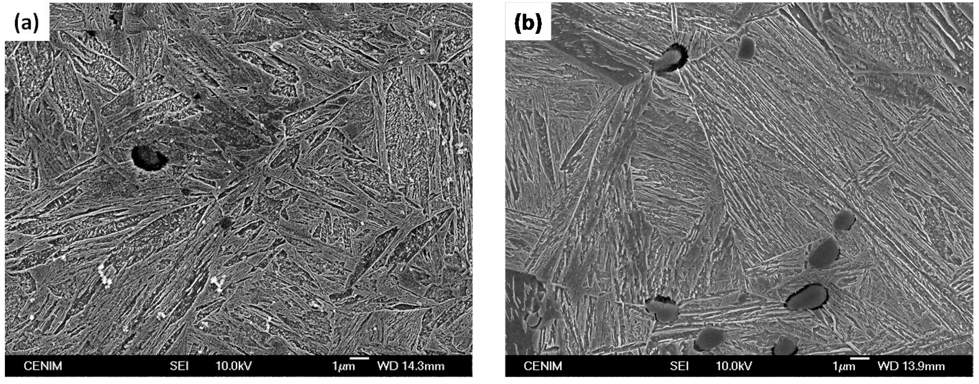 Metals 06 00130 g009