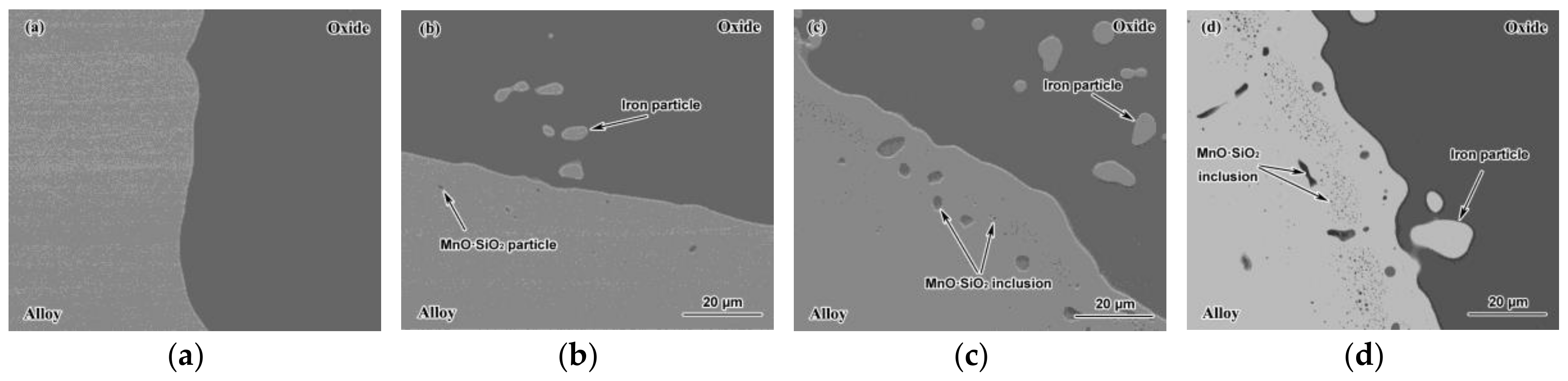 Metals 08 00251 g007