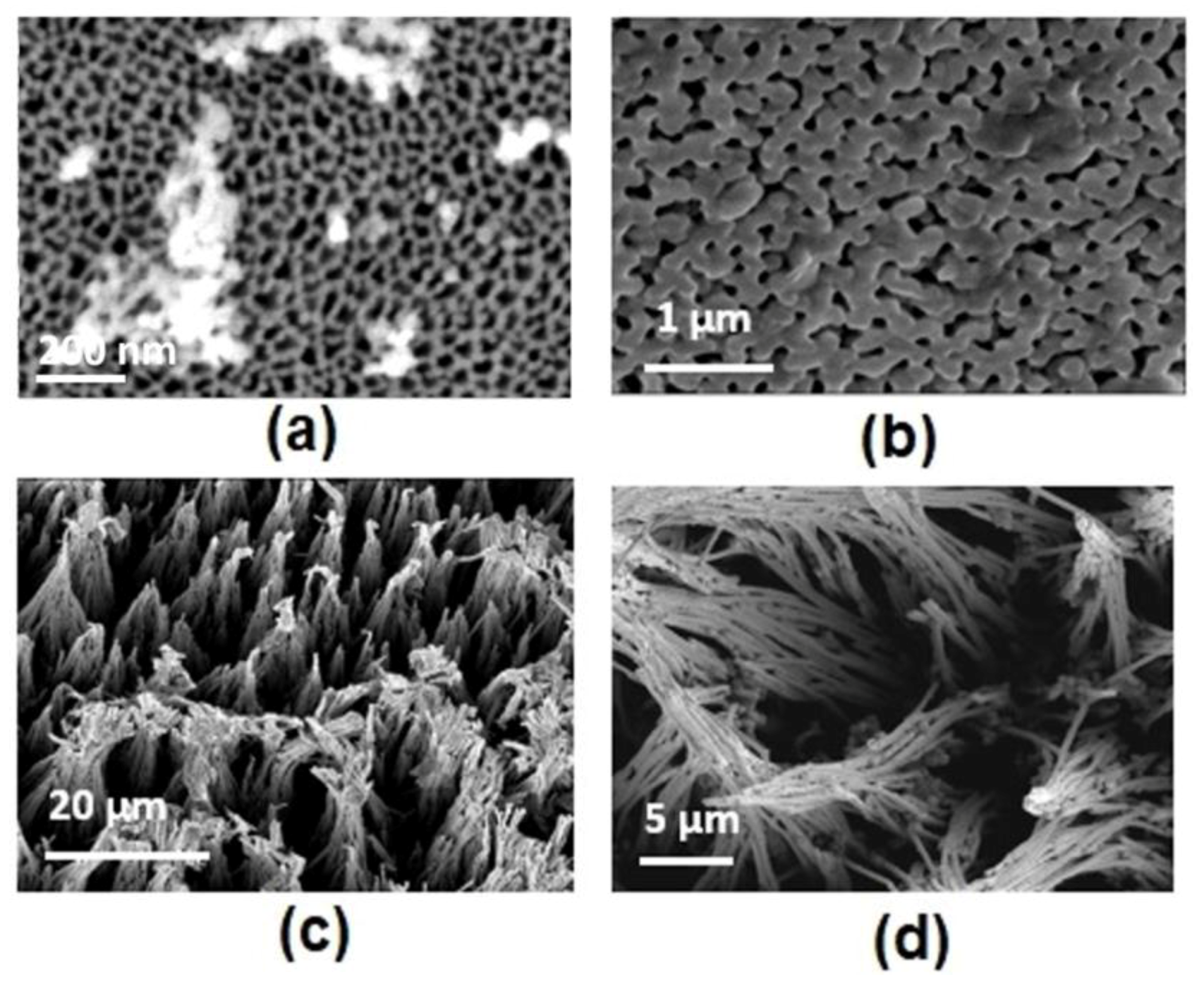 Metals 08 00347 g006