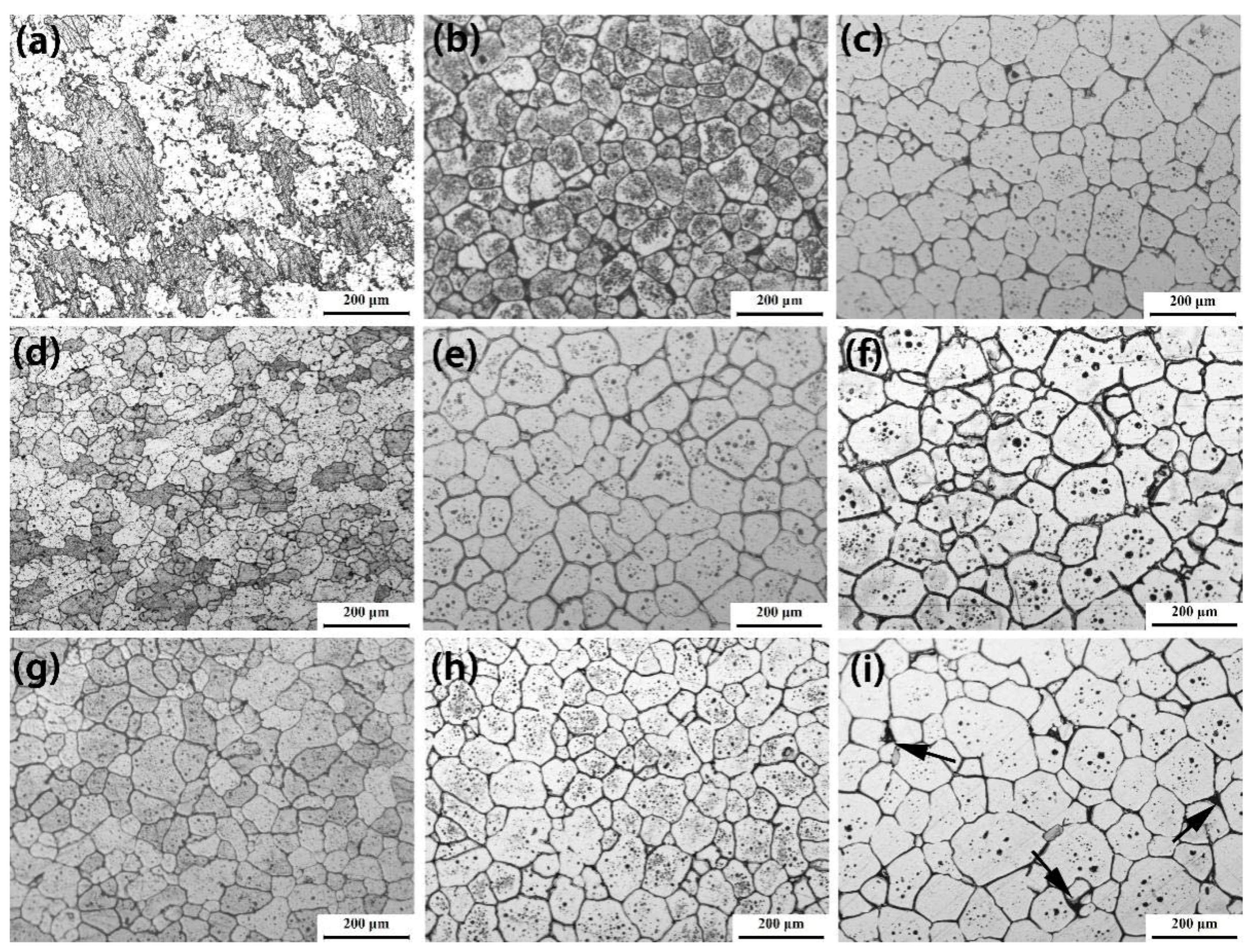 Metals 08 00508 g002