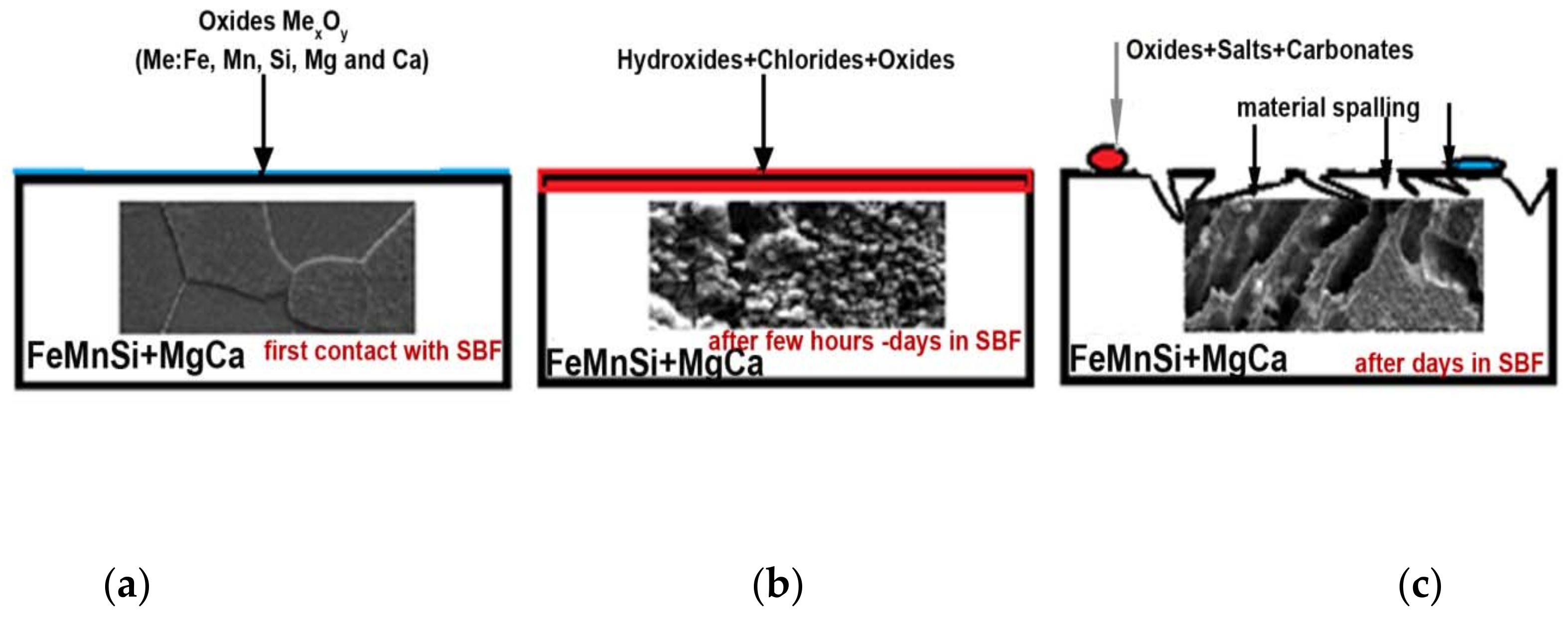 Metals 08 00541 g008