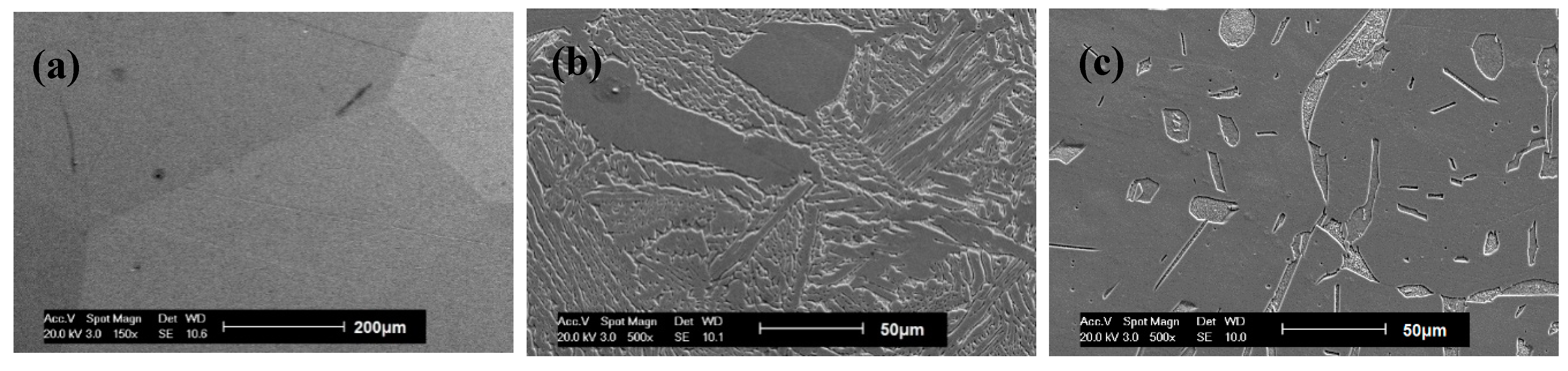 Metals 08 00575 g002