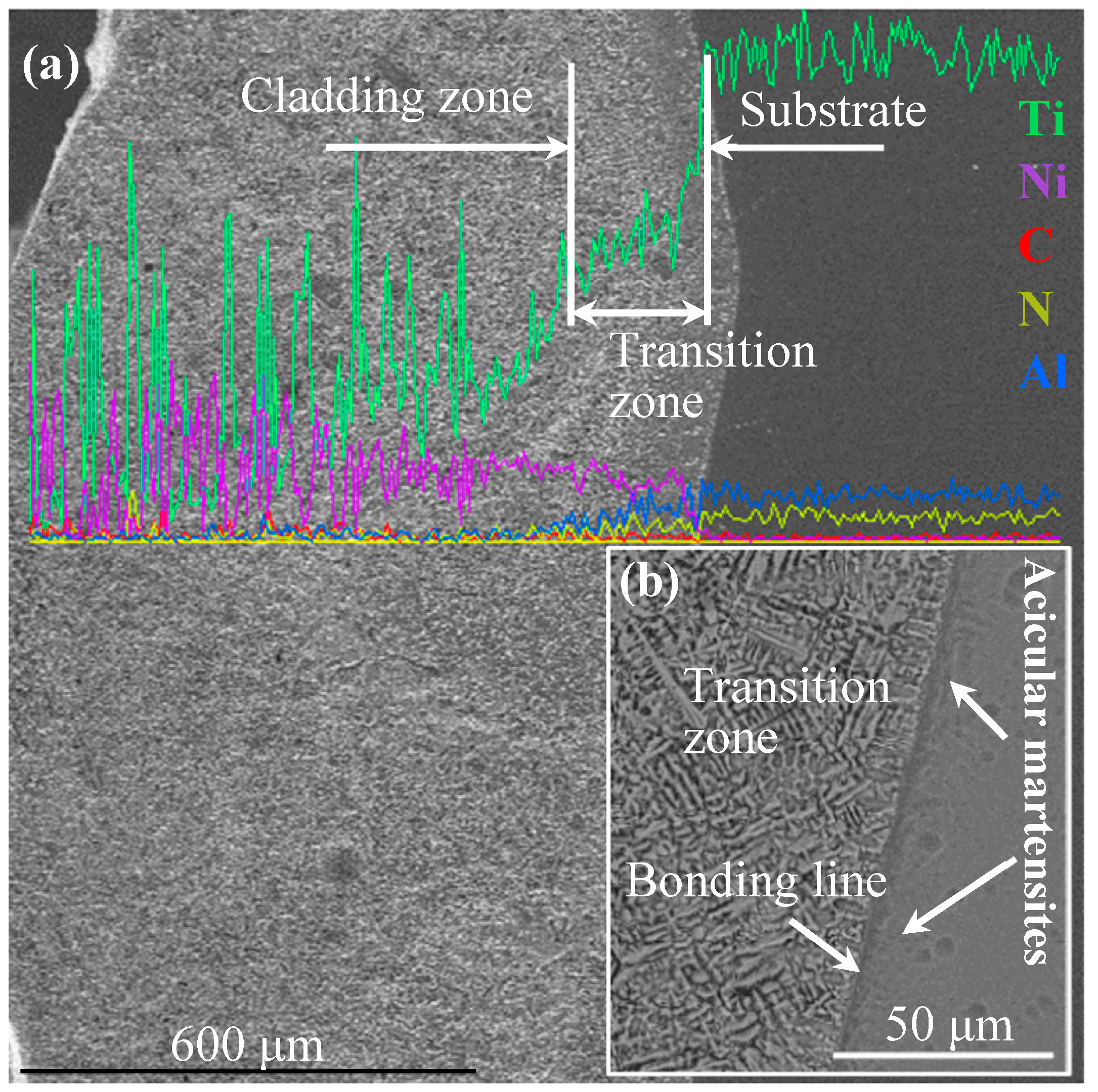 Metals 08 00601 g004