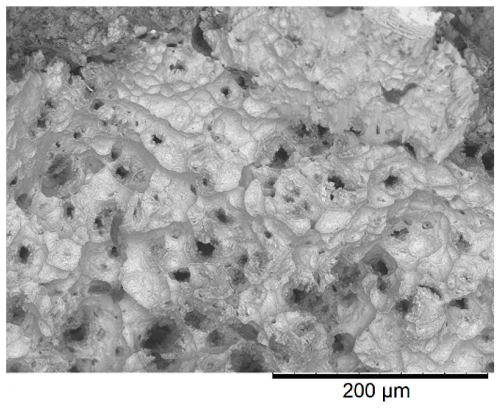 Metals 08 00618 g013