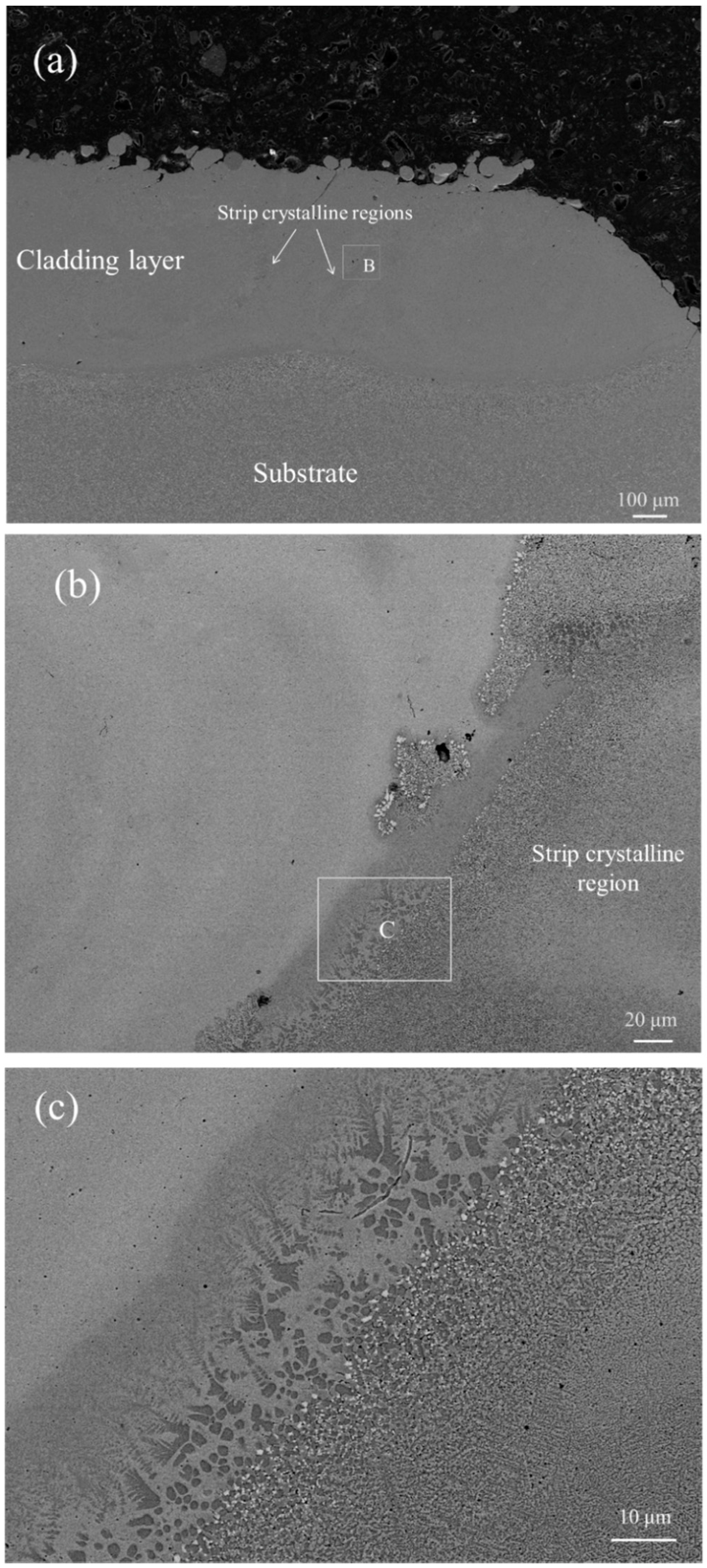 Metals 08 00622 g007