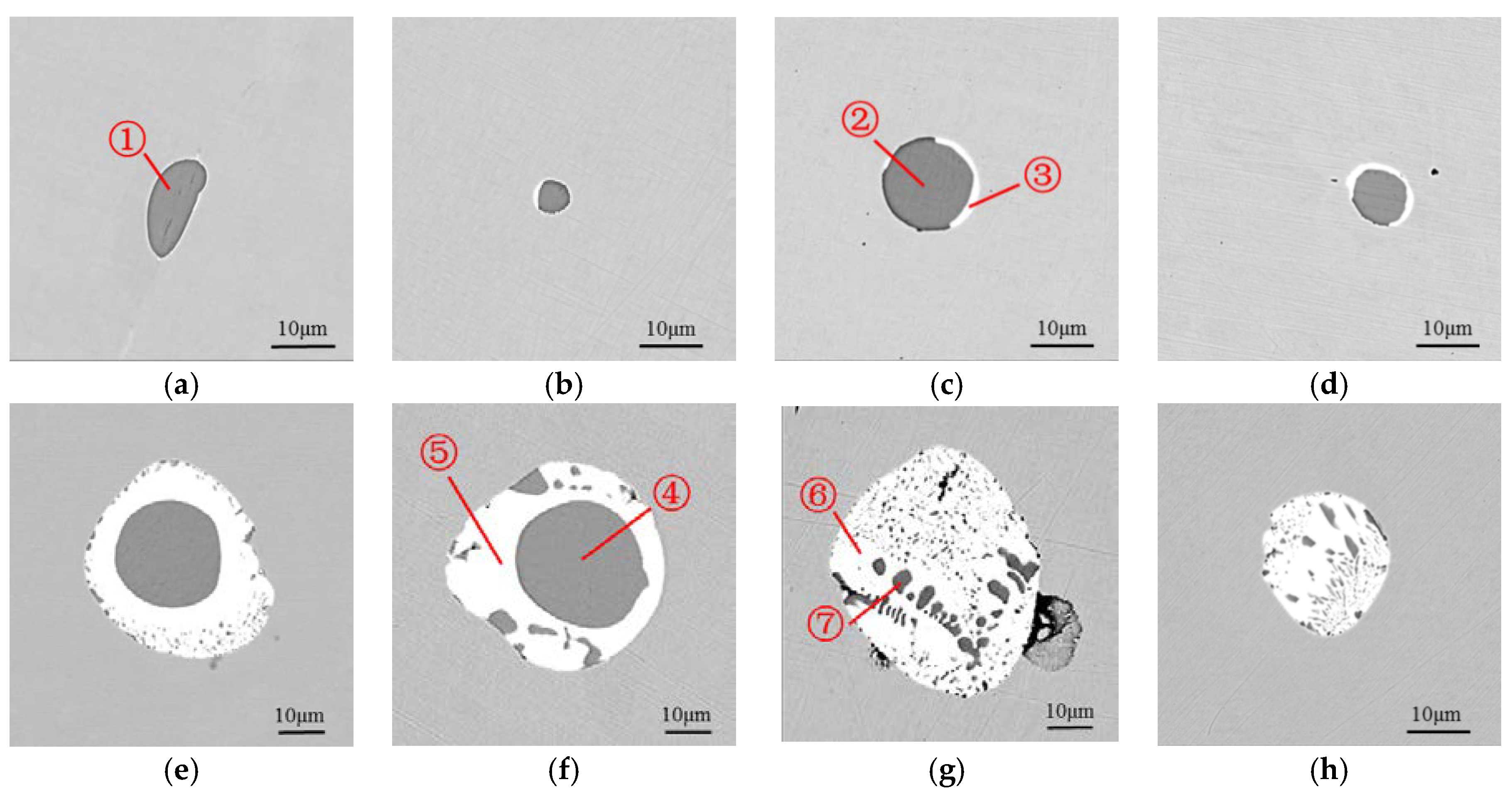 Metals 08 00639 g003