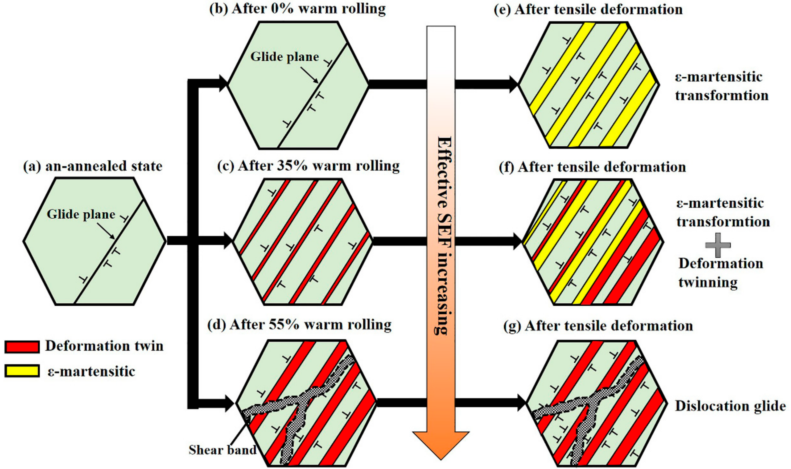 Metals 08 00742 g010