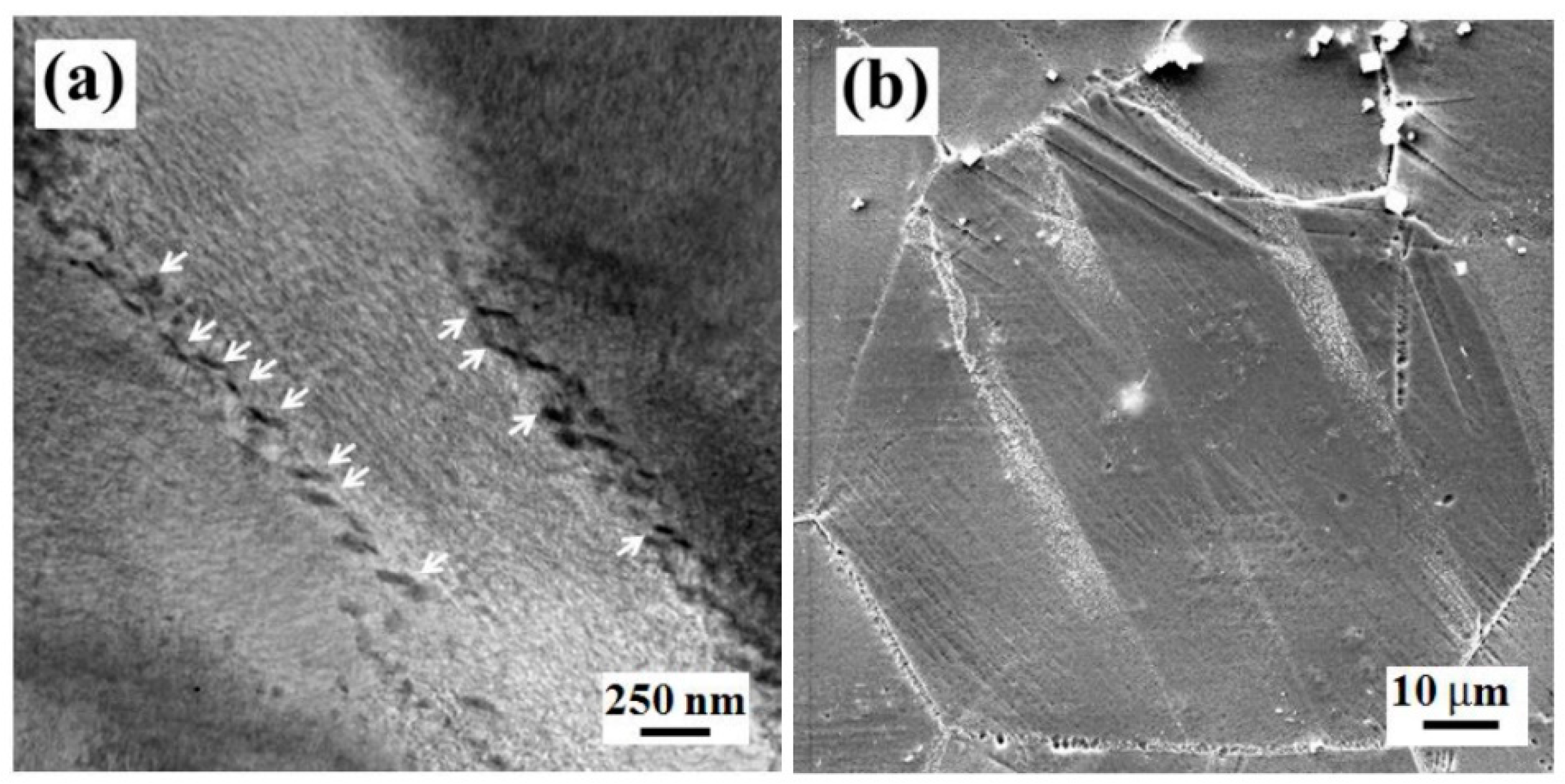 Metals 08 00980 g007