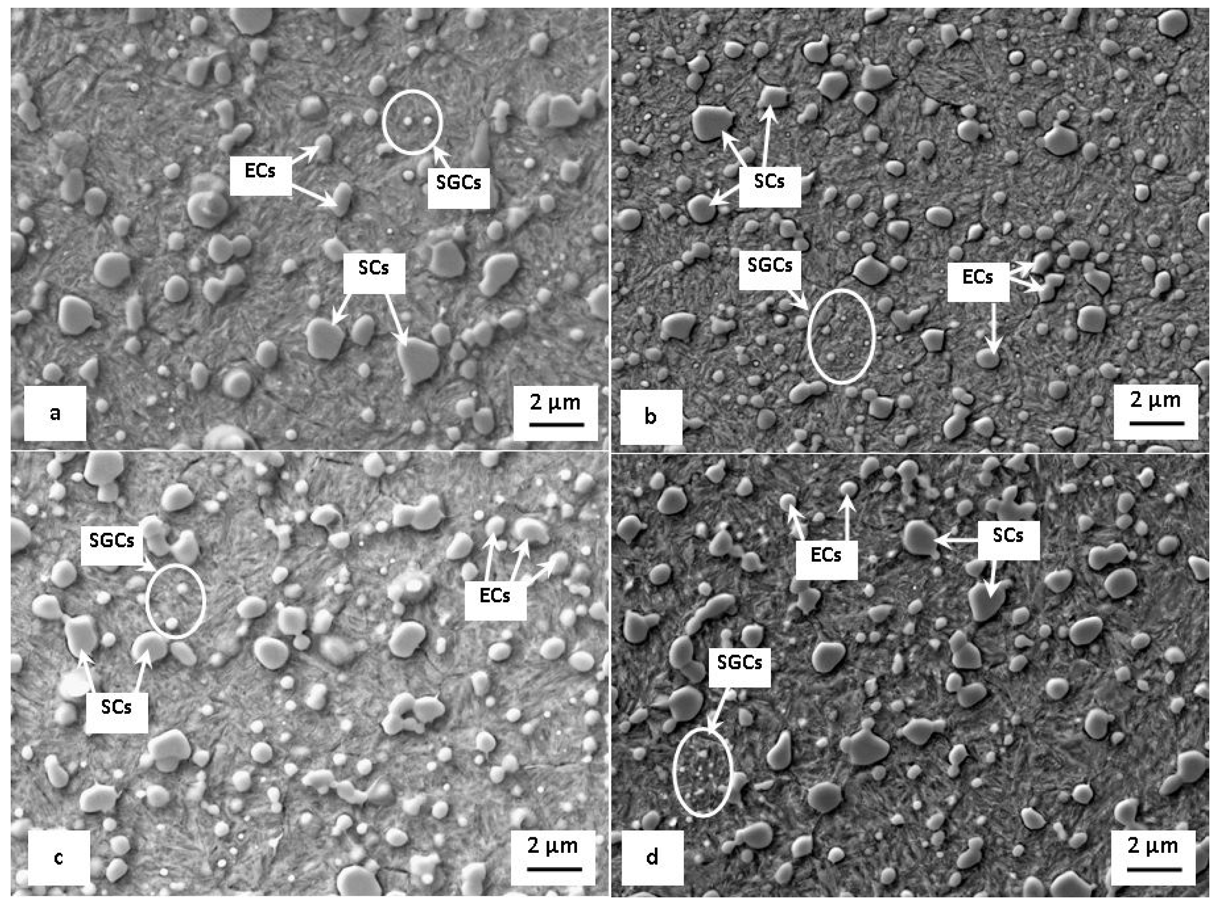 Metals 08 01047 g004