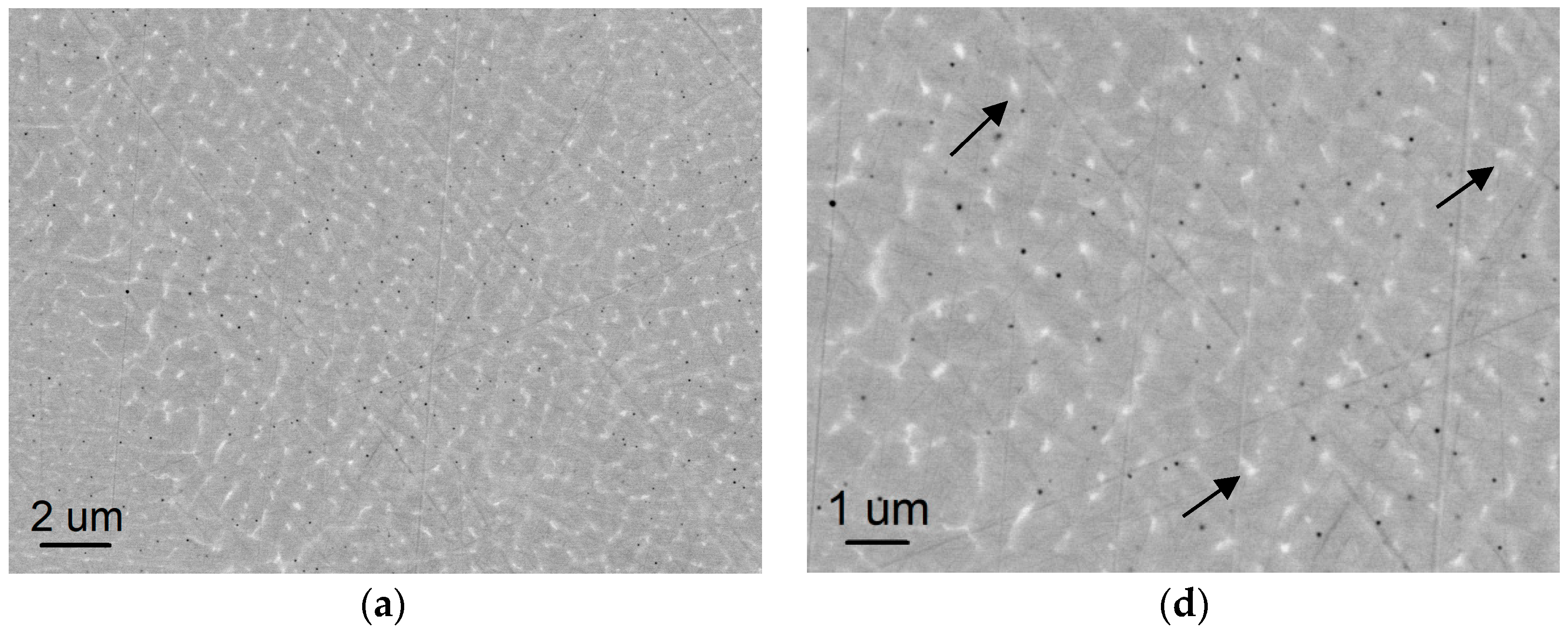 Metals 09 00019 g001a