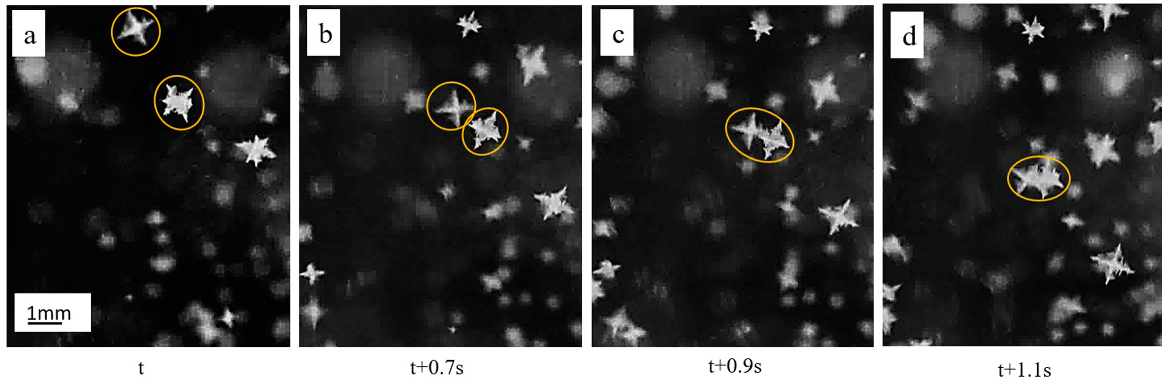 Metals 09 00055 g005