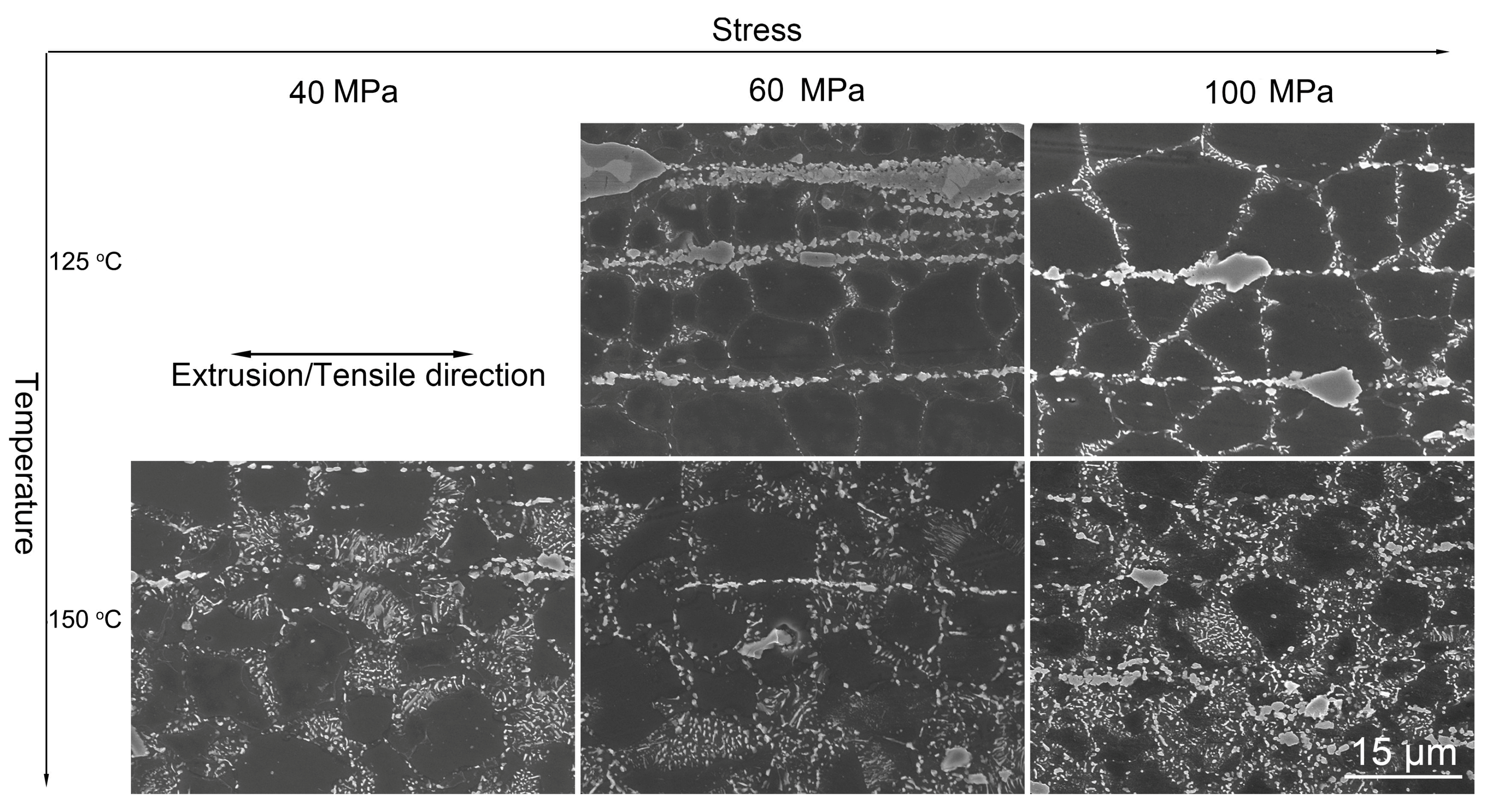 Metals 09 00954 g009