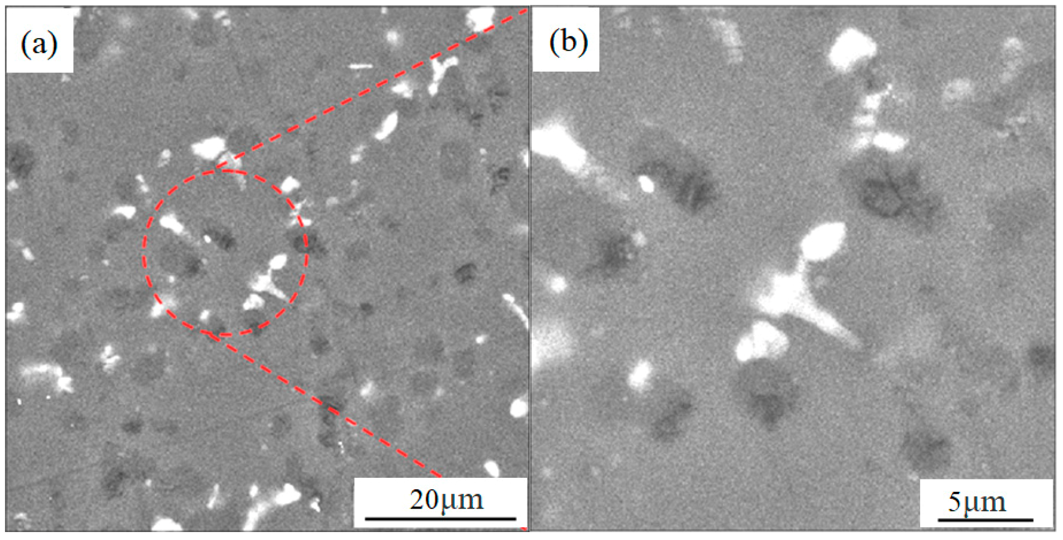 Metals 09 01205 g006