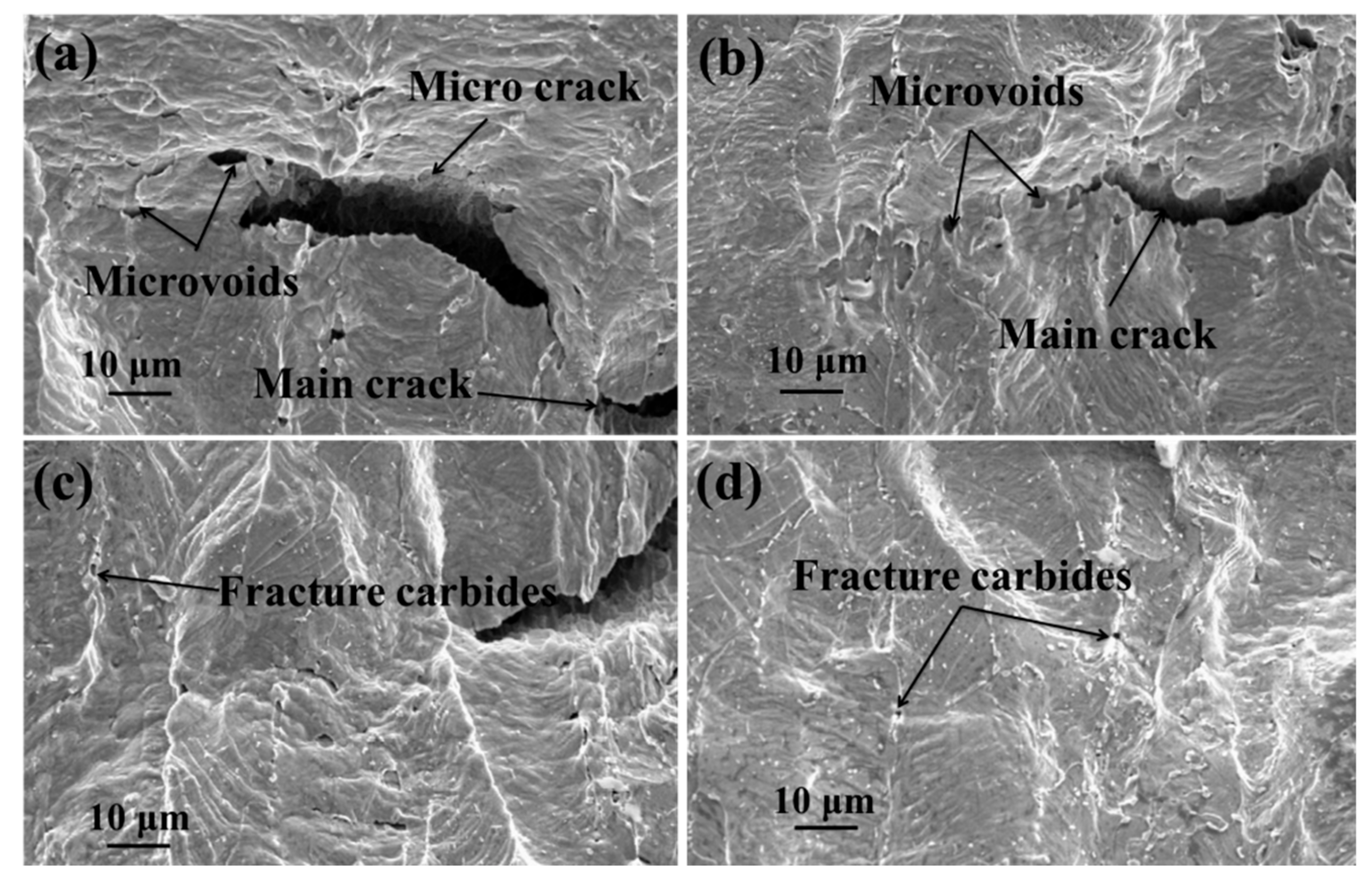 Metals 09 01221 g011