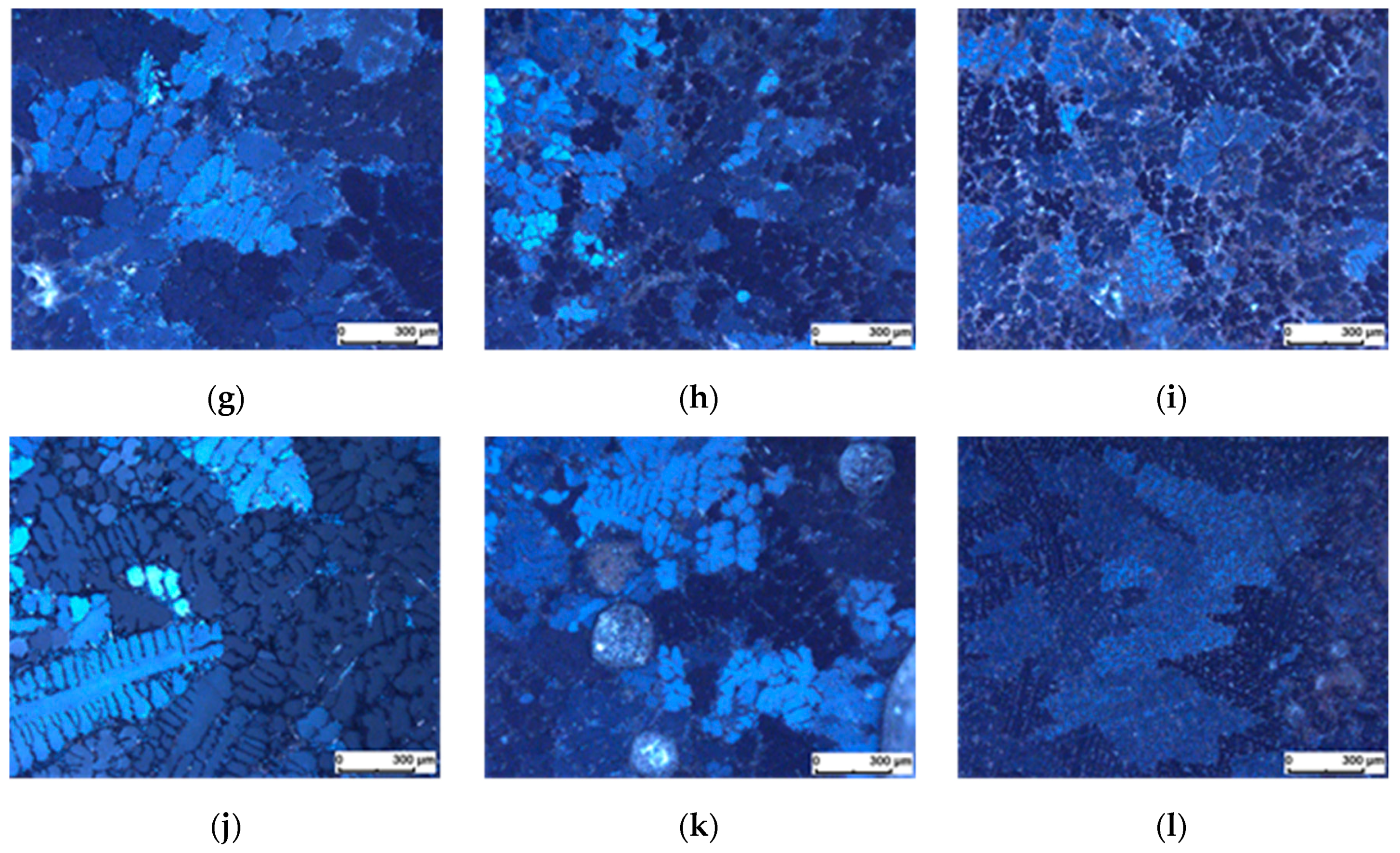 Metals 09 01241 g003b