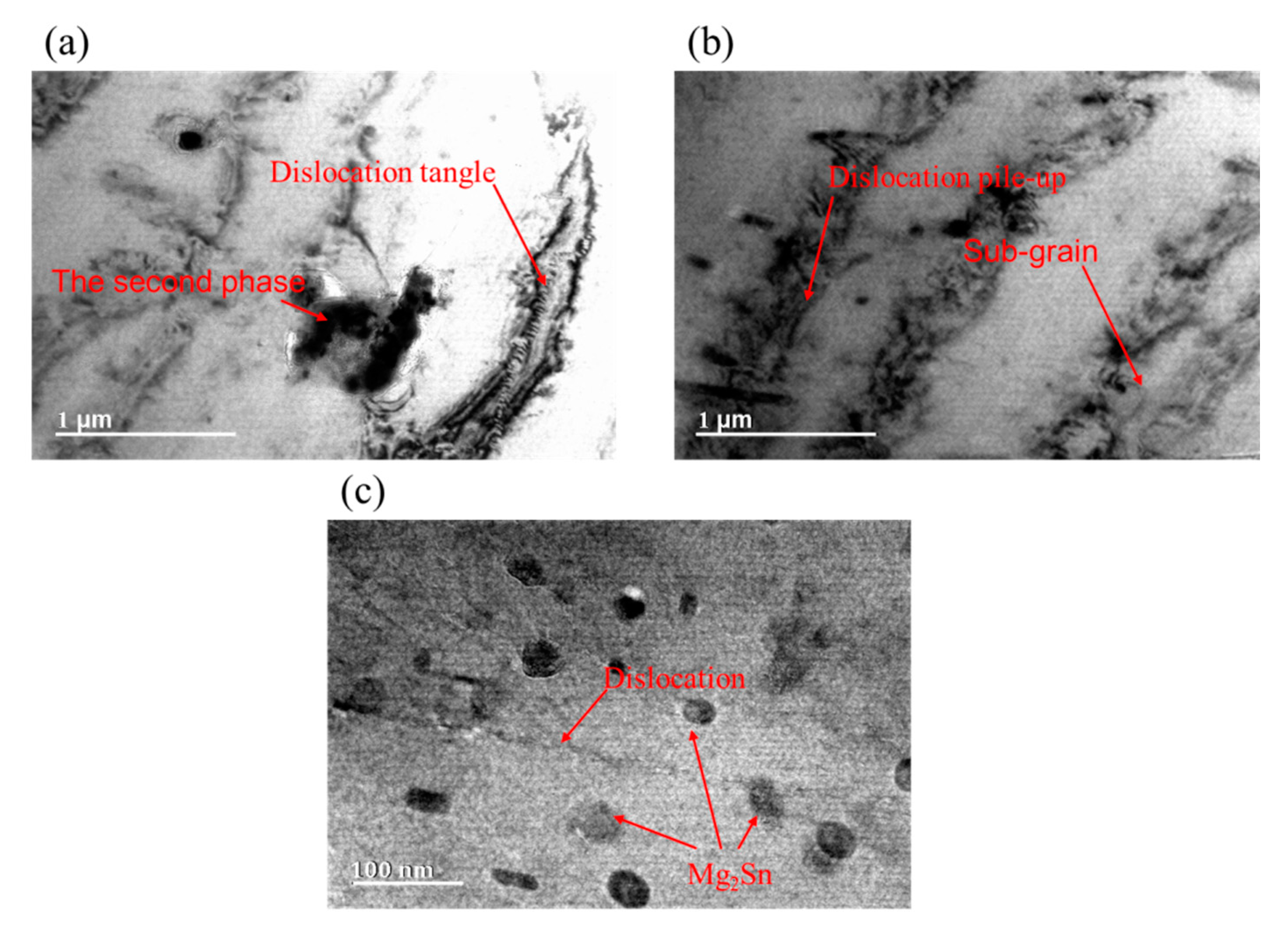 Metals 09 01262 g011