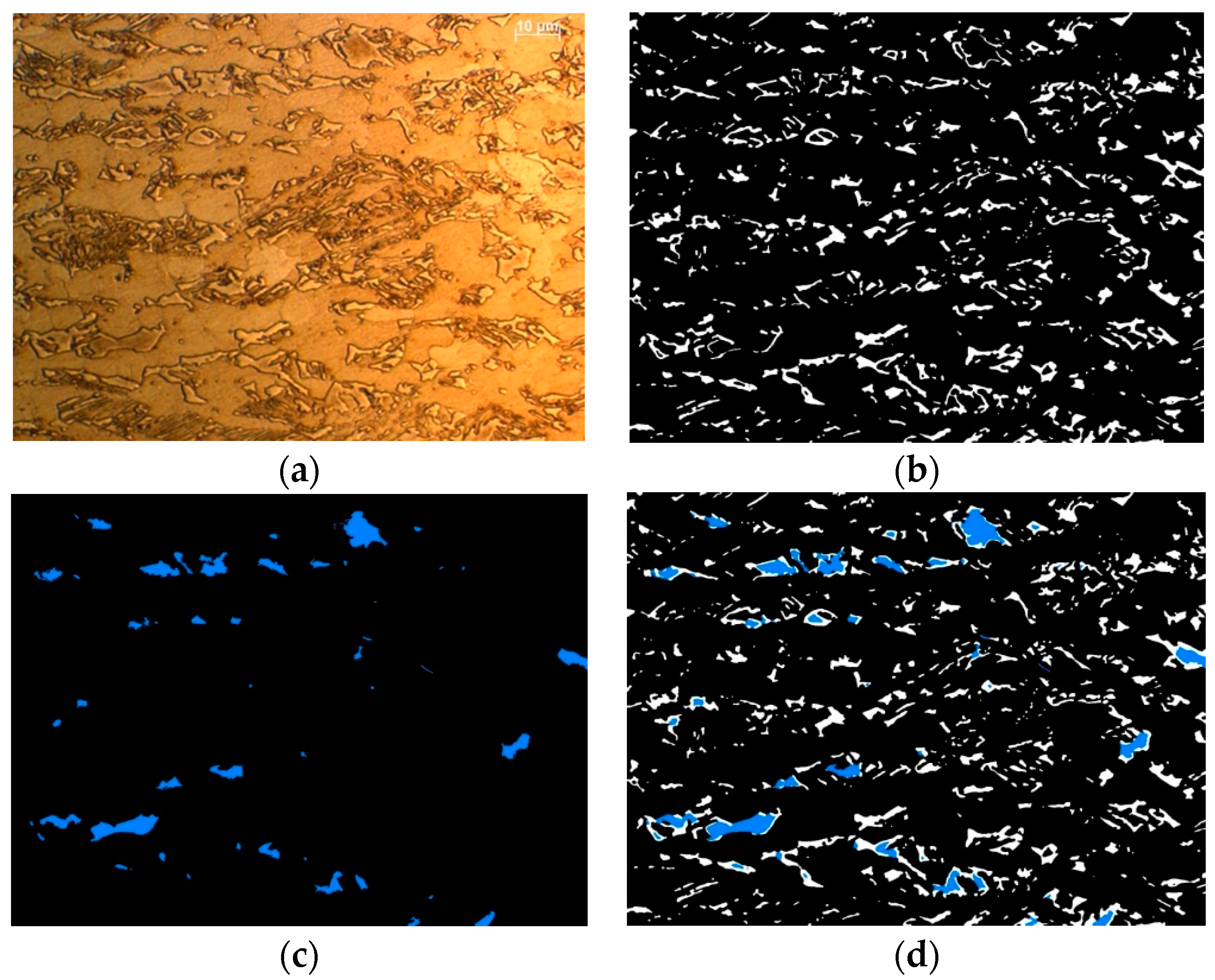 Metals 09 01304 g004