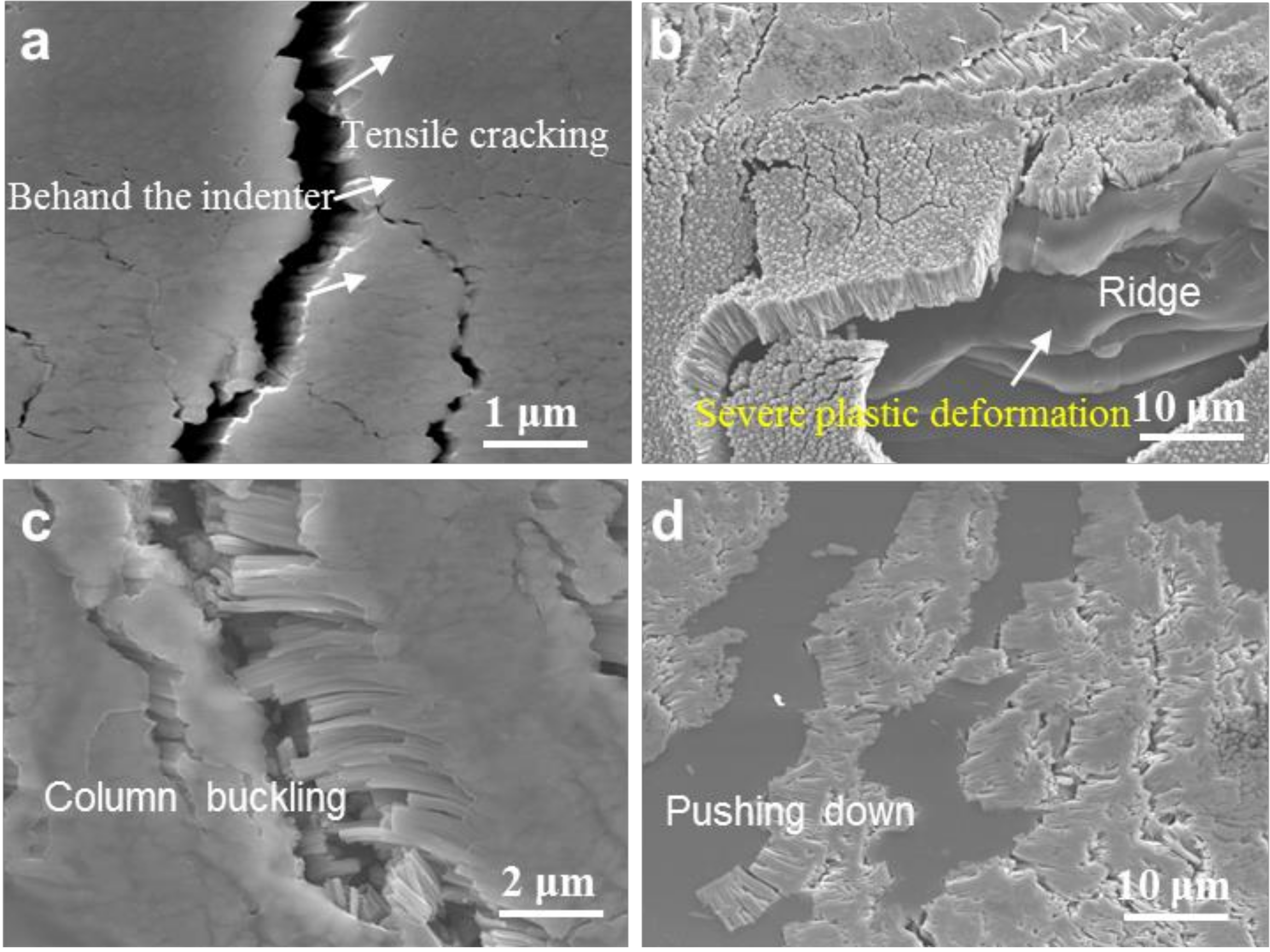 Metals 09 01330 g011