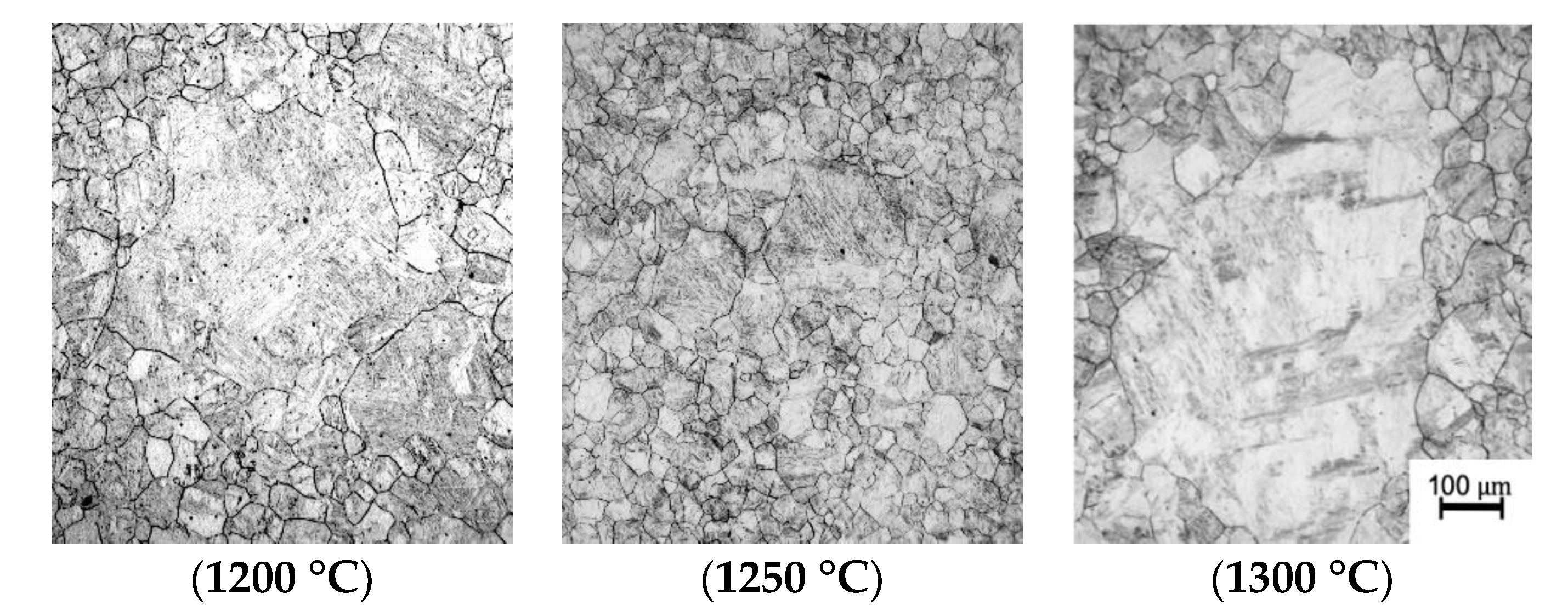 Metals 10 00413 g012b