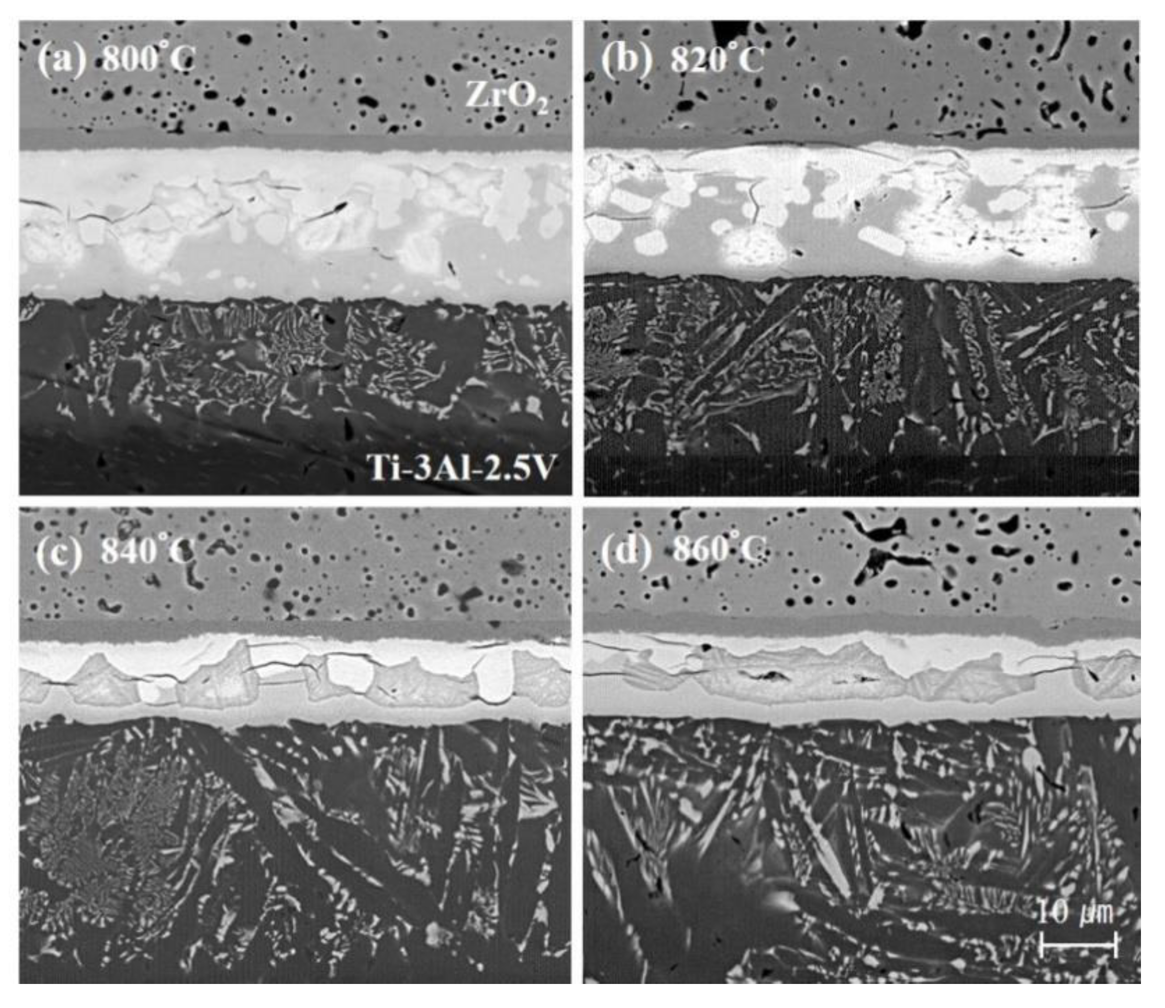 Metals 10 00718 g002