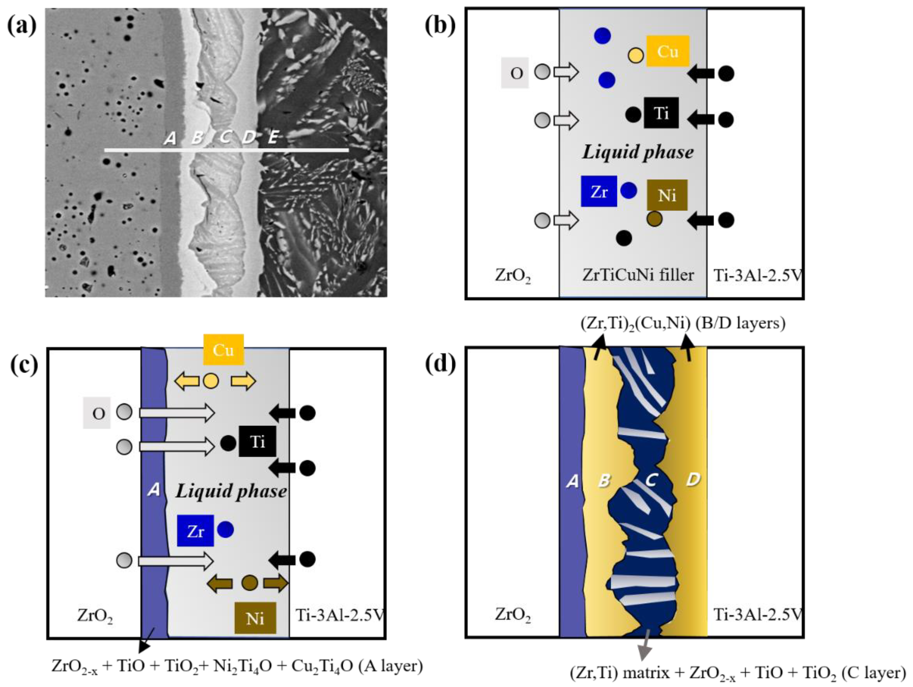 Metals 10 00718 g004