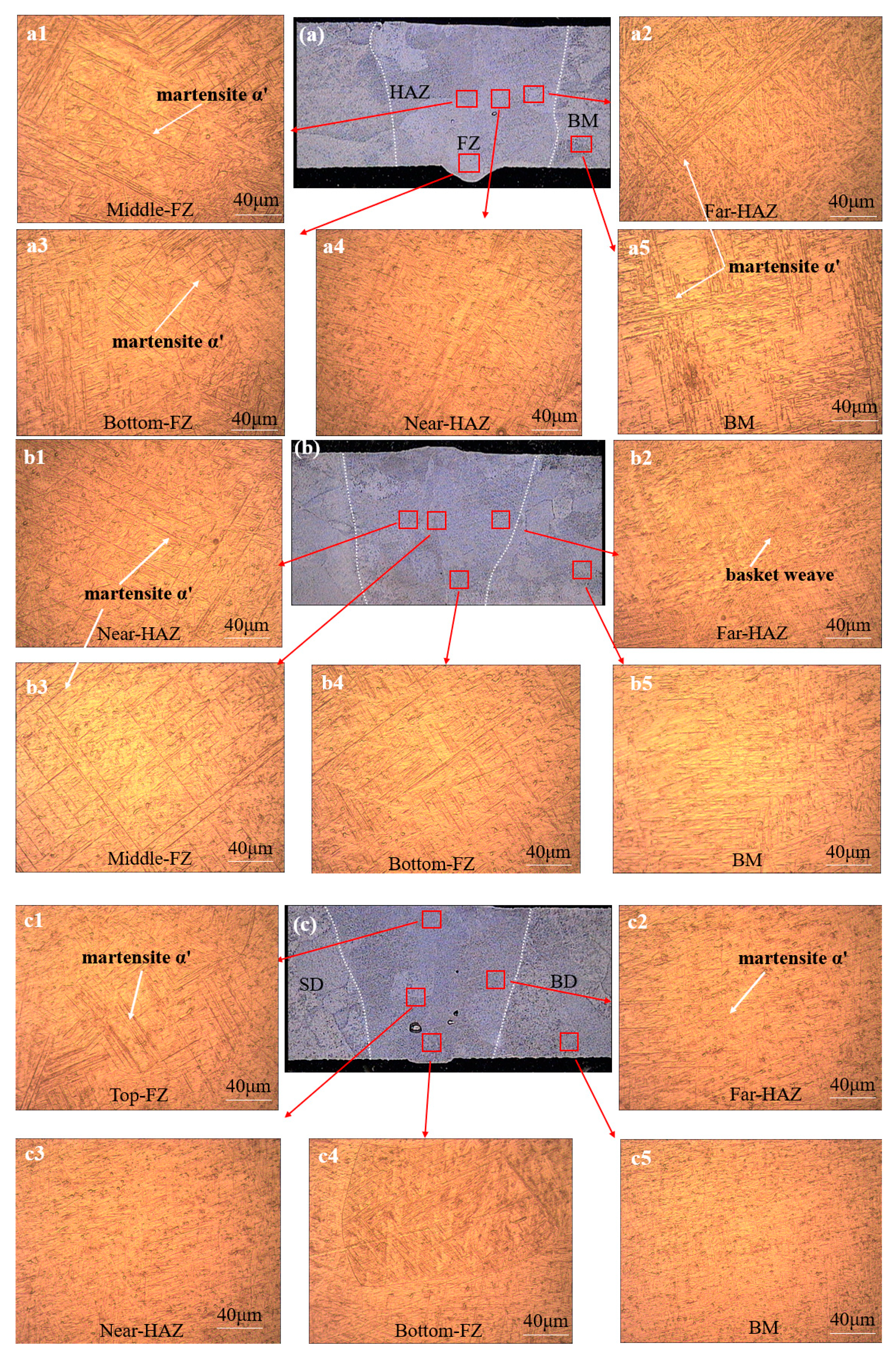 Metals 10 01310 g003
