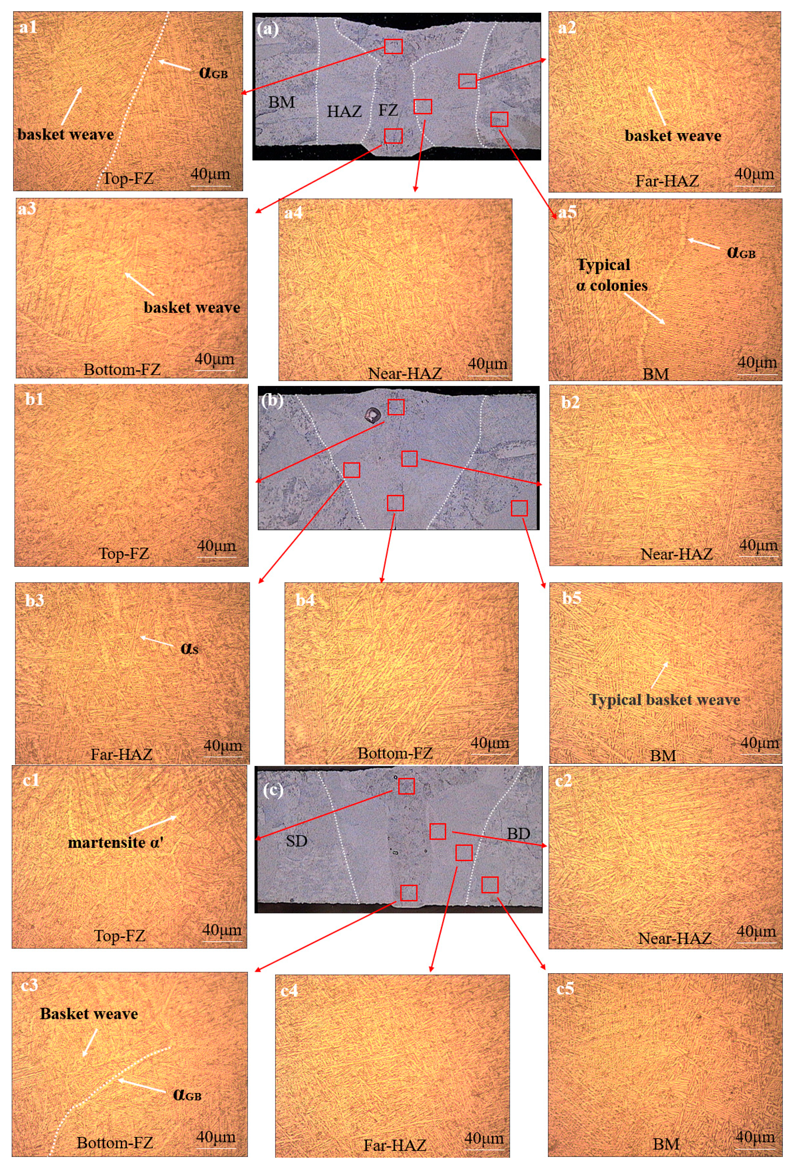 Metals 10 01310 g005