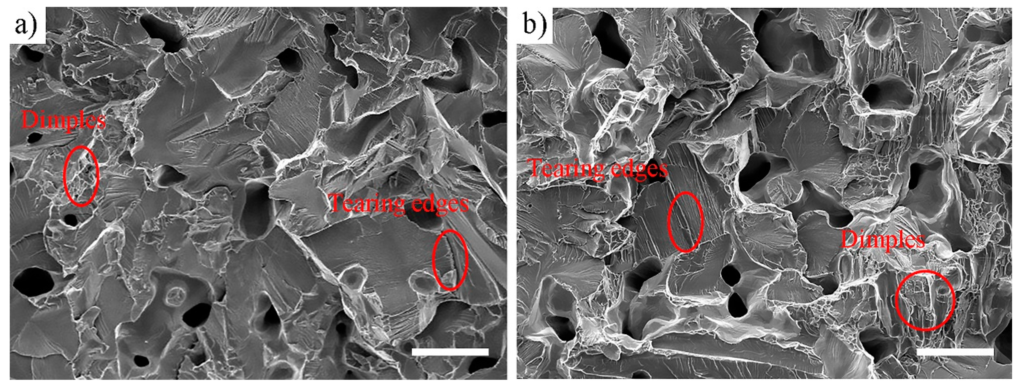 Metals 10 01354 g015