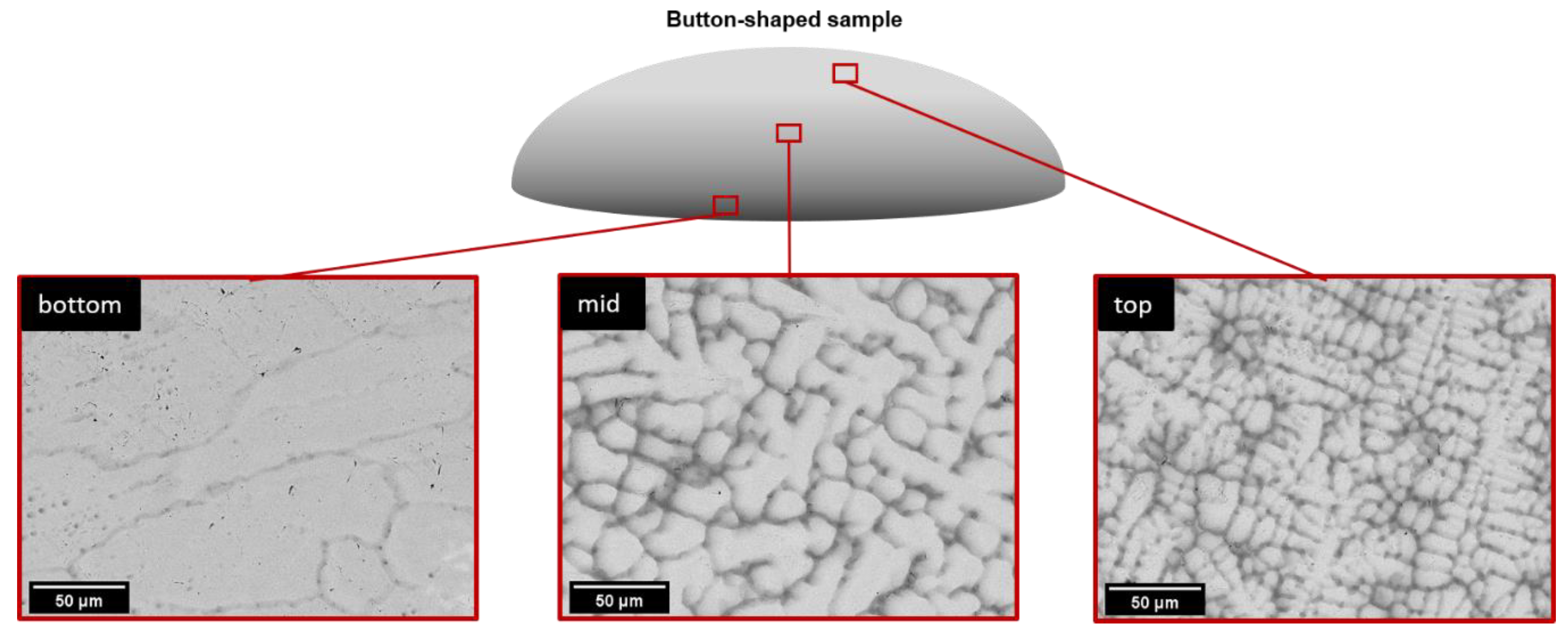 Metals 10 01530 g003