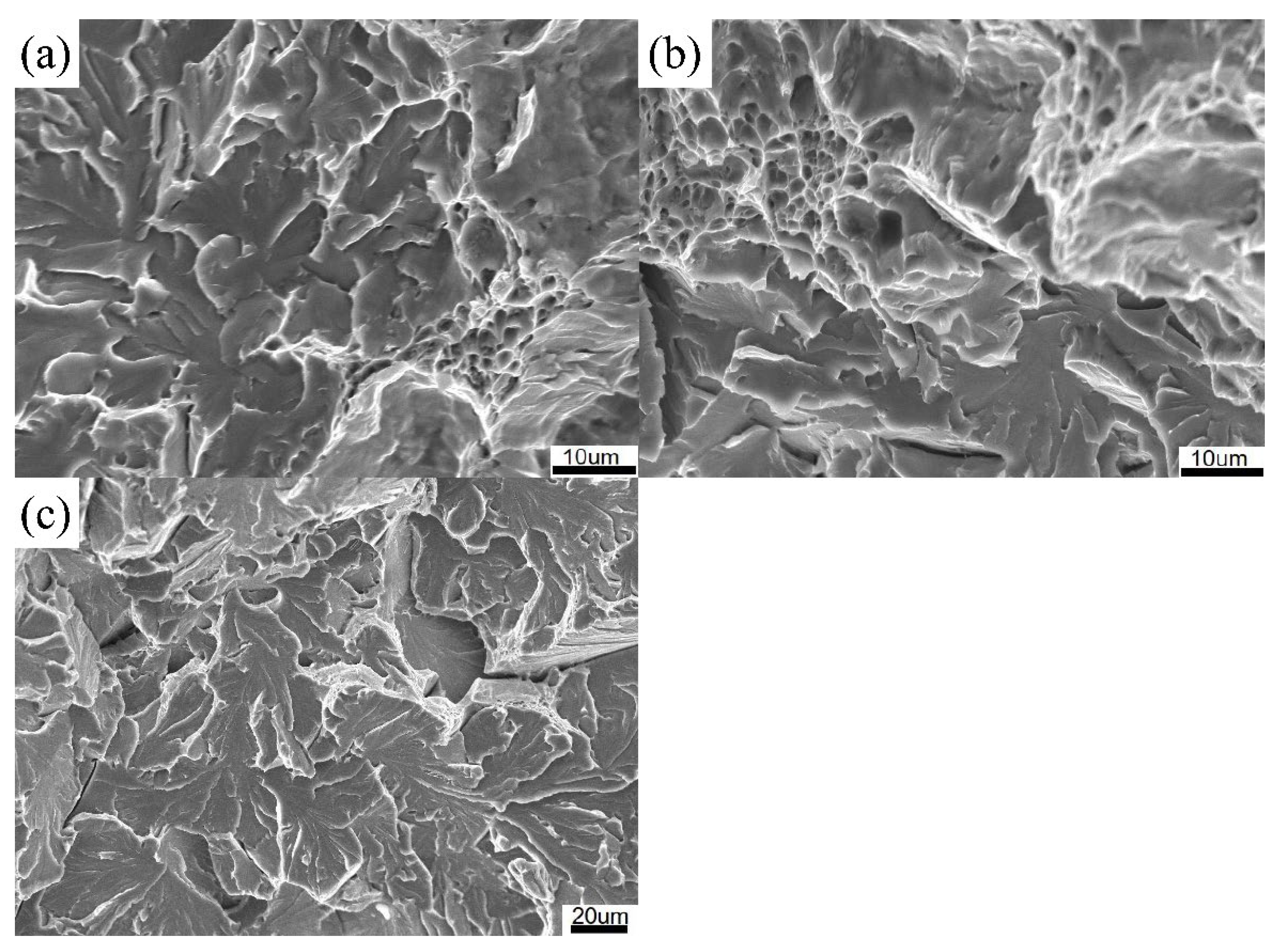 Metals 11 01055 g007