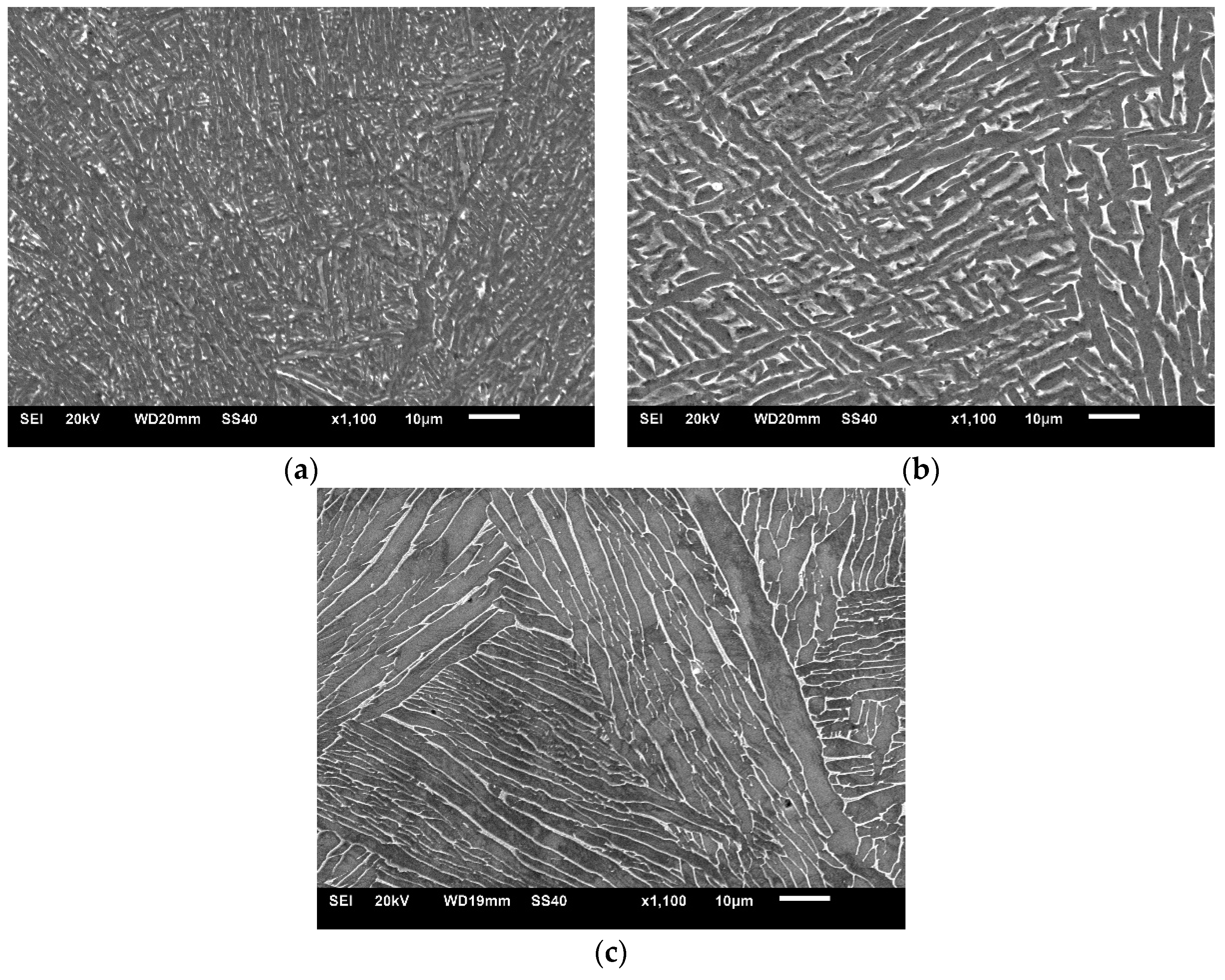 Metals 11 01628 g002