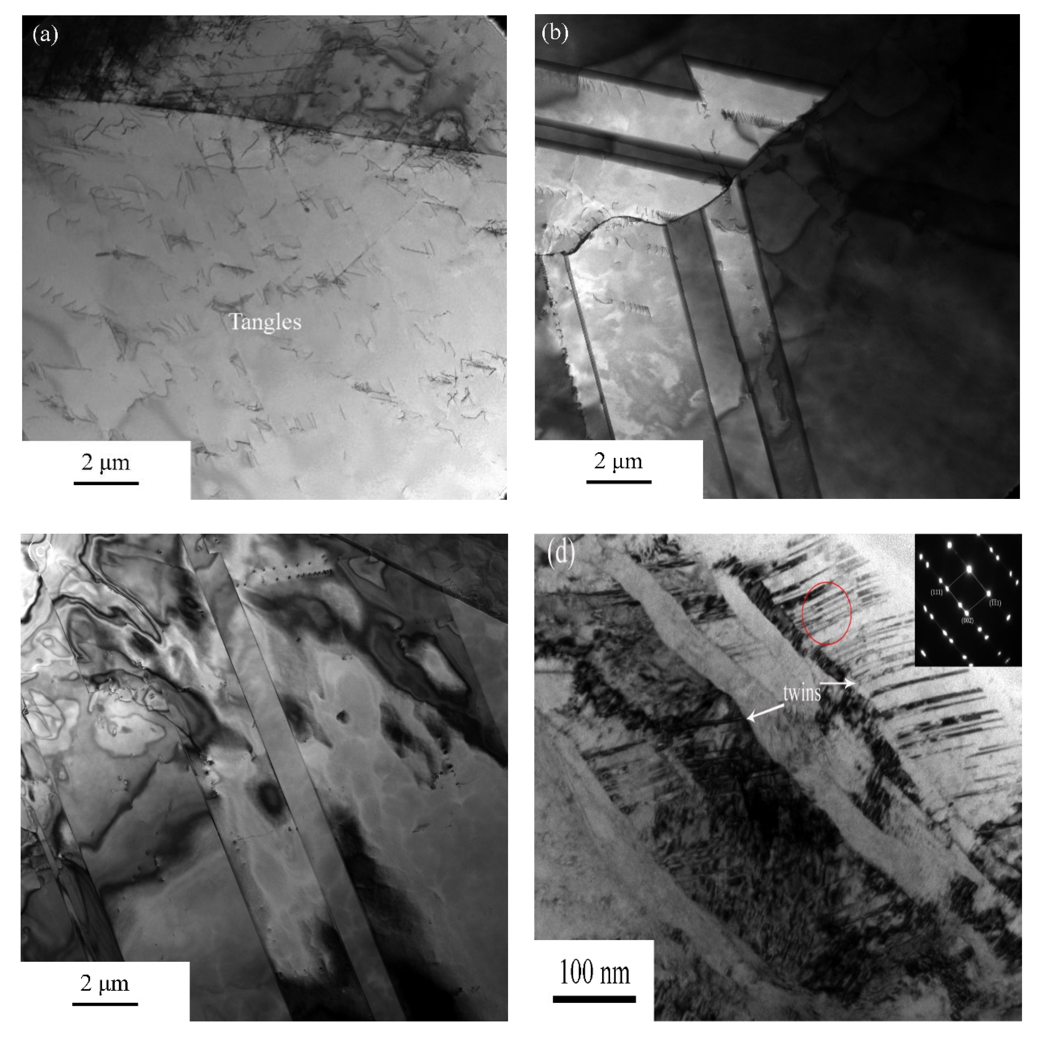 Metals 12 00137 g013