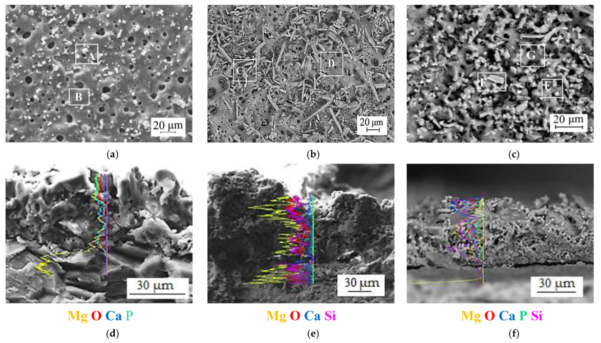 Metals 12 01647 g006