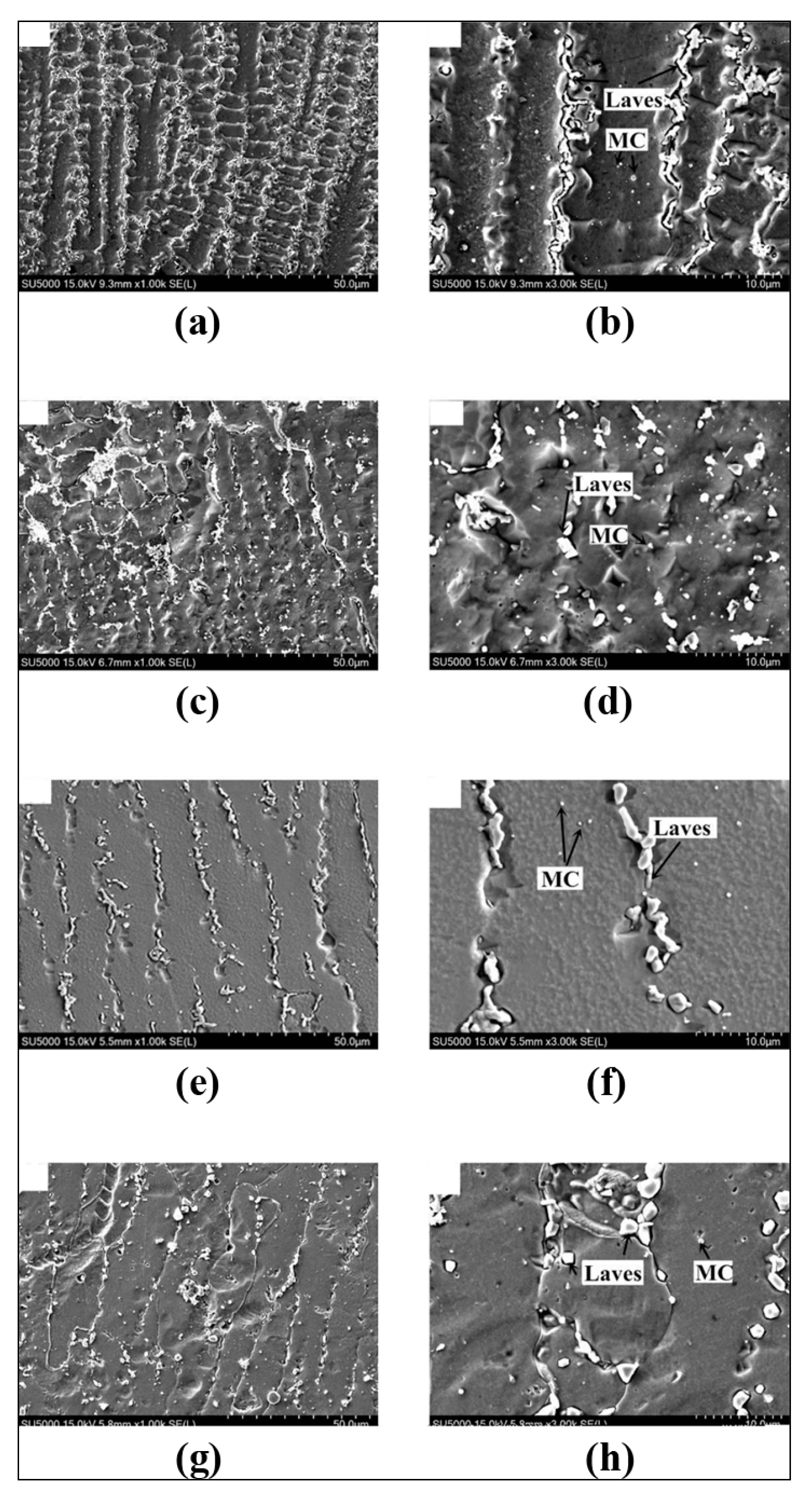 Metals 13 00787 g010