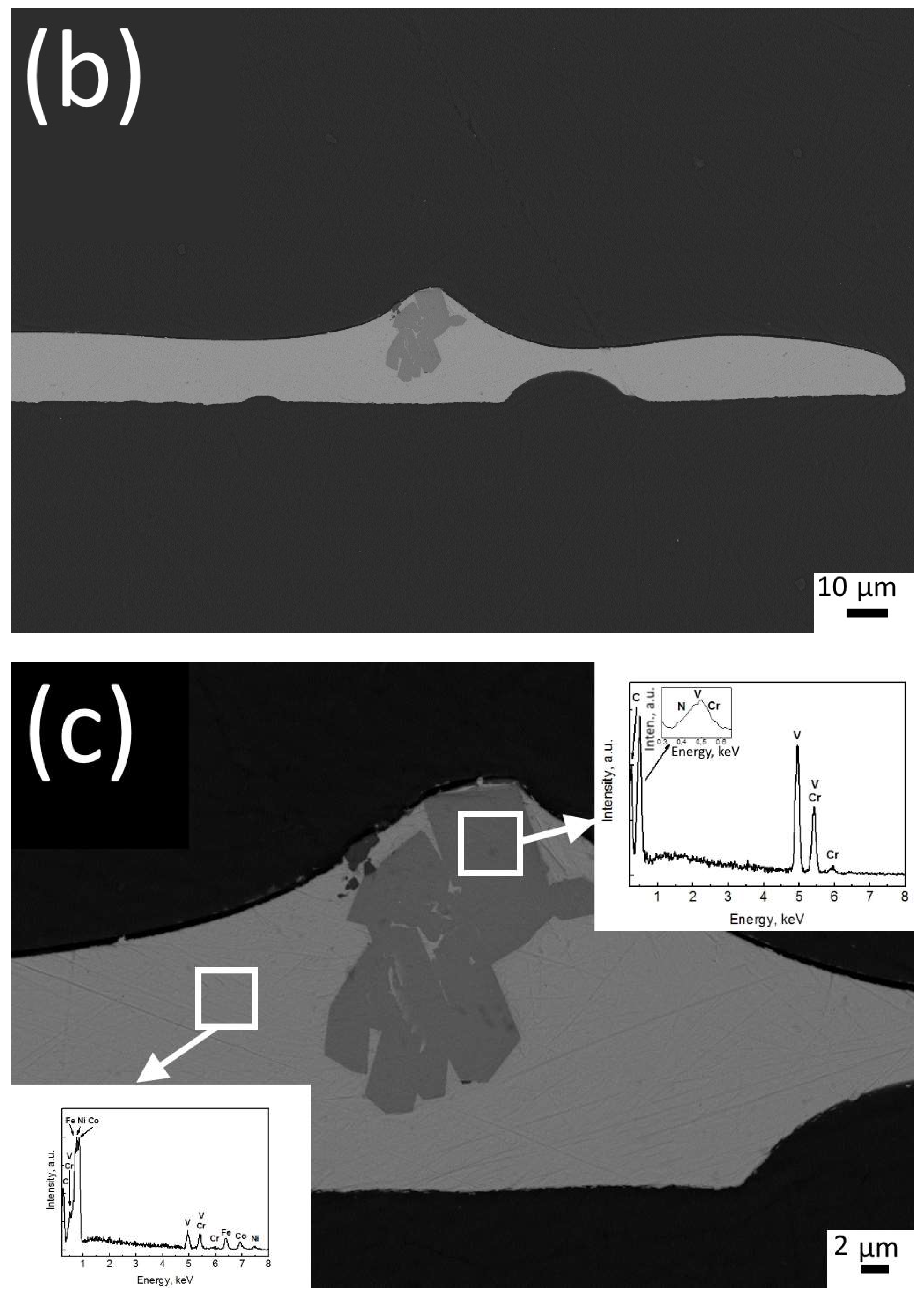 Metals 13 01464 g002b