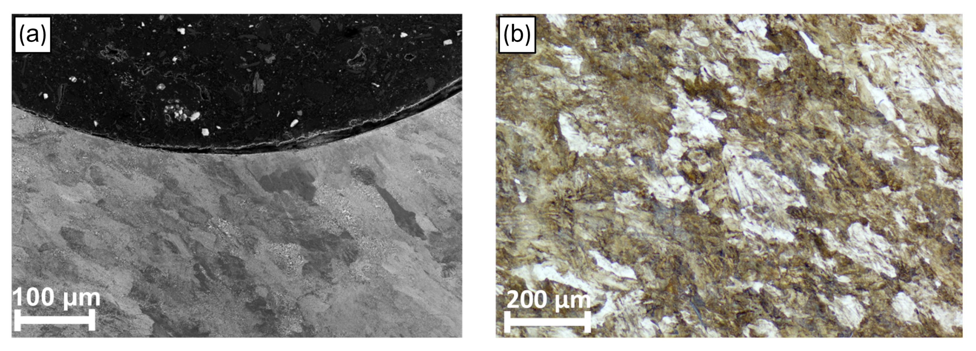 Metals 13 01726 g008