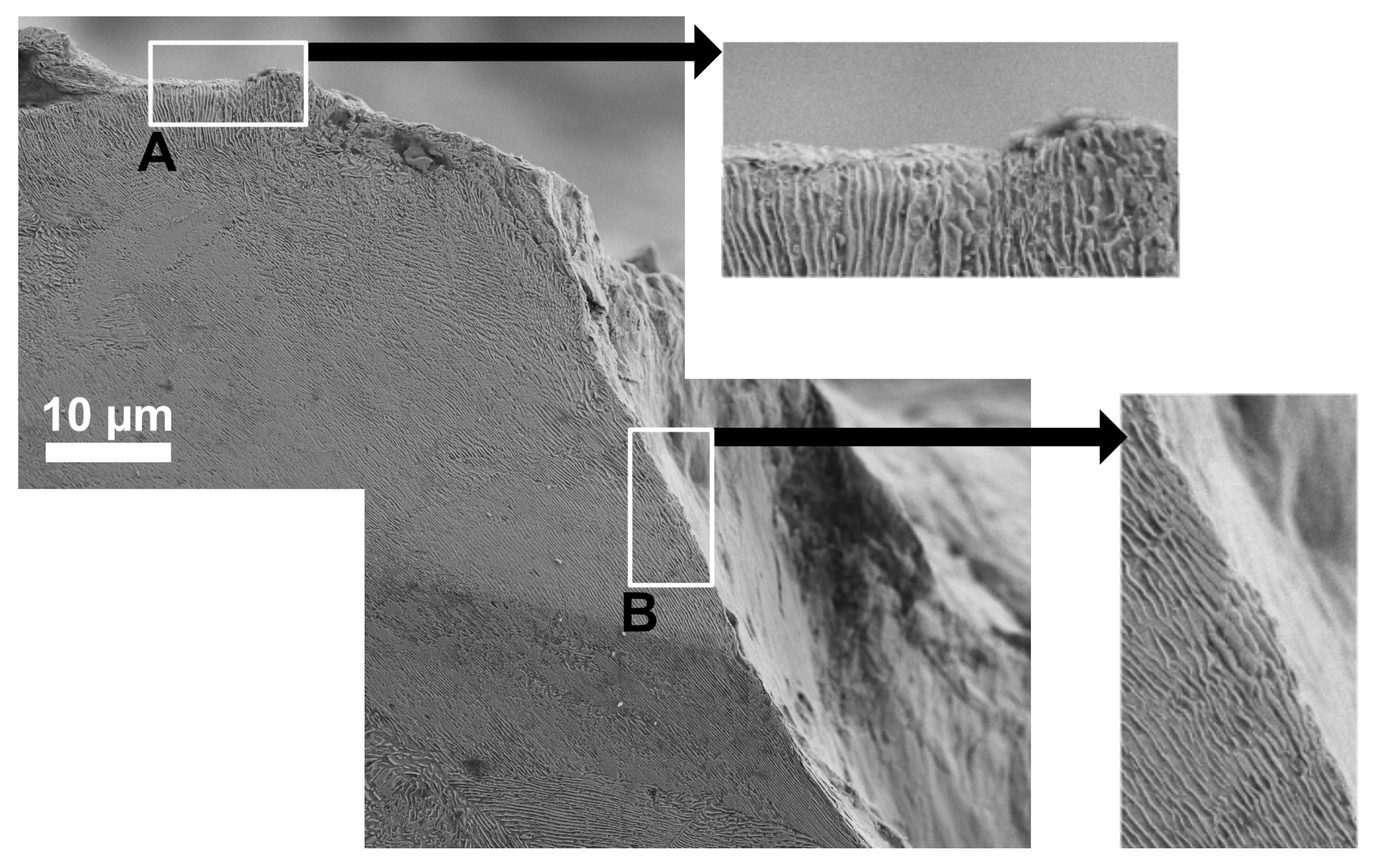 Metals 13 01726 g016