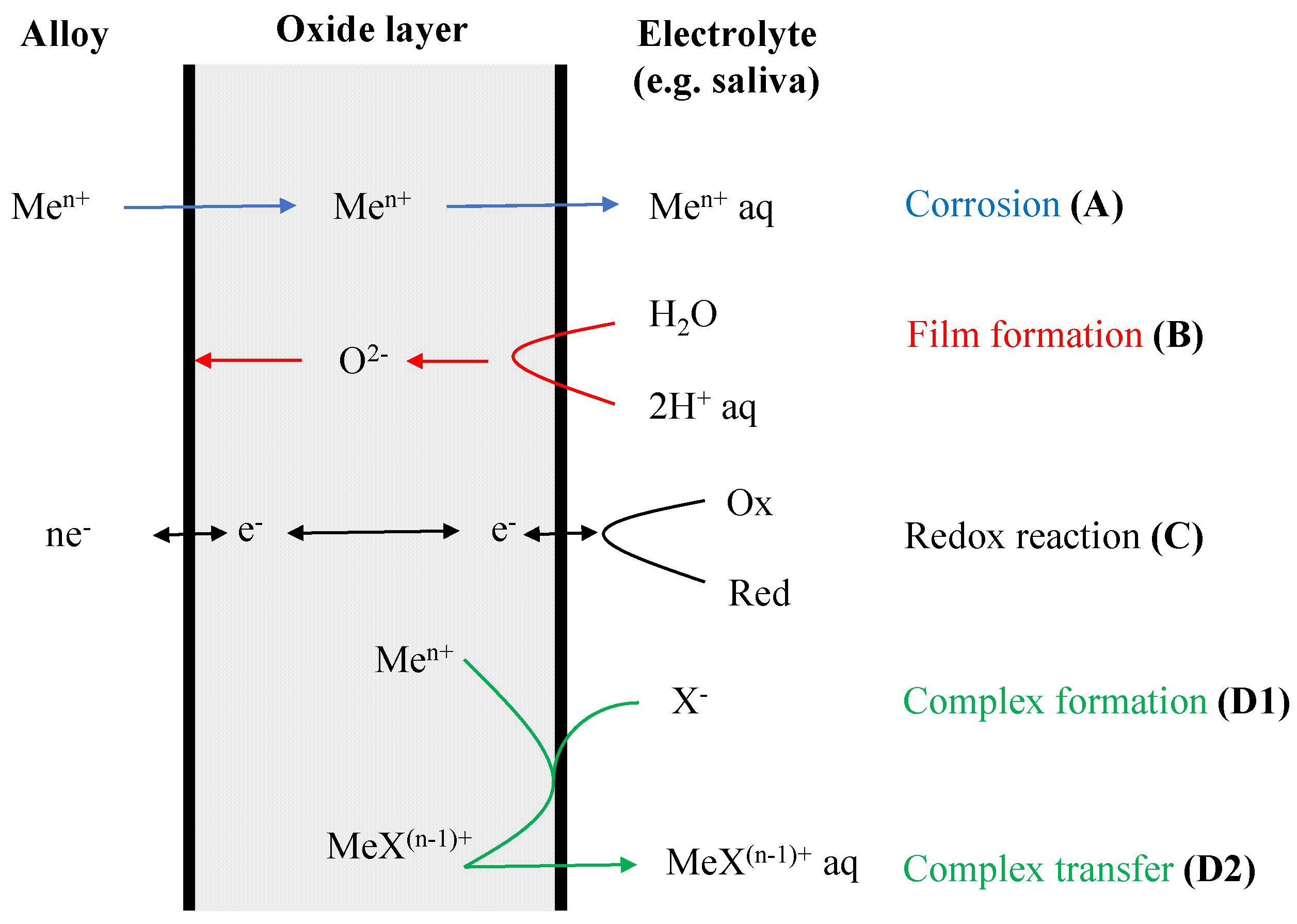 Metals 13 01955 g005