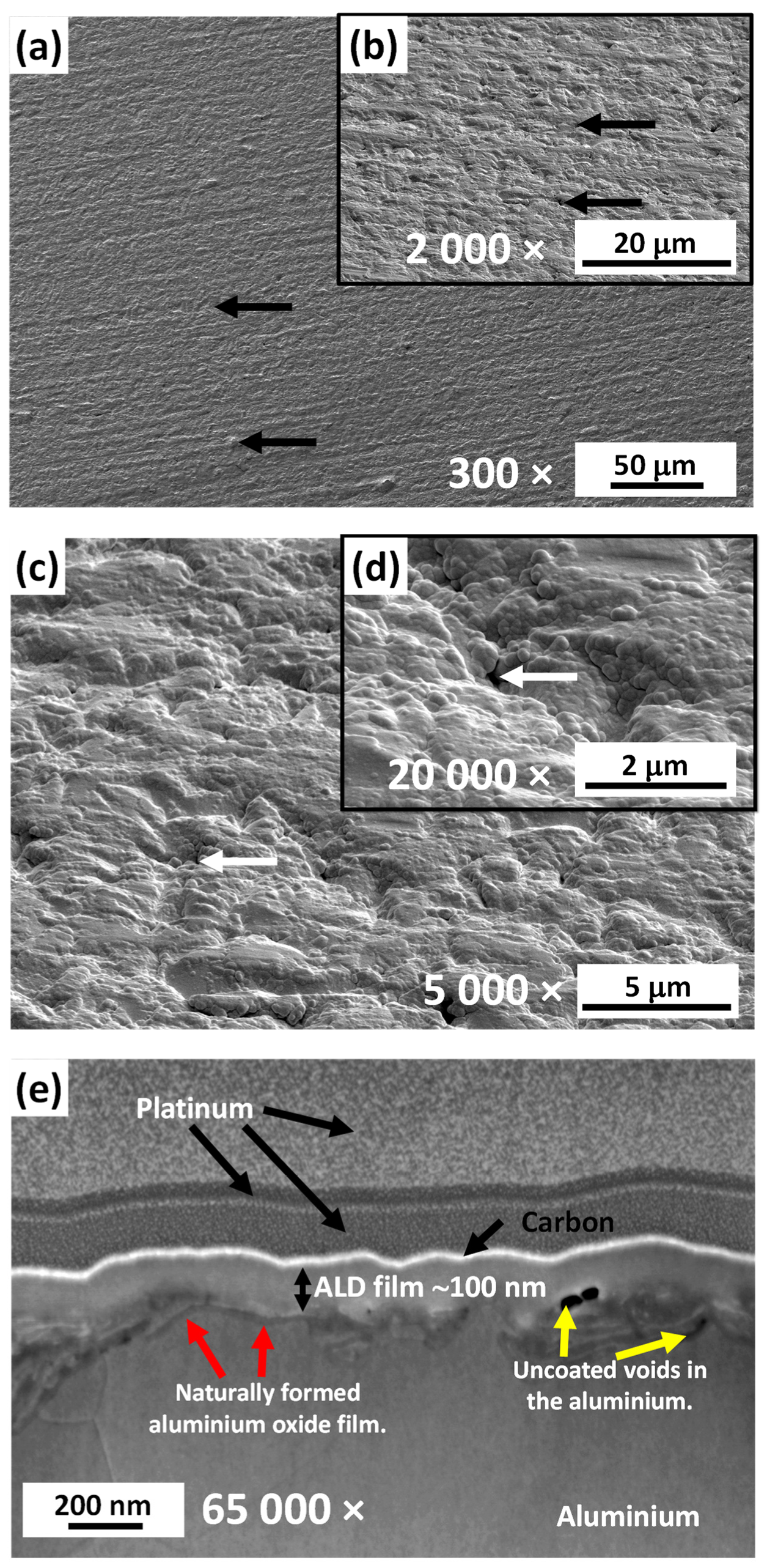 Metals 13 01960 g009