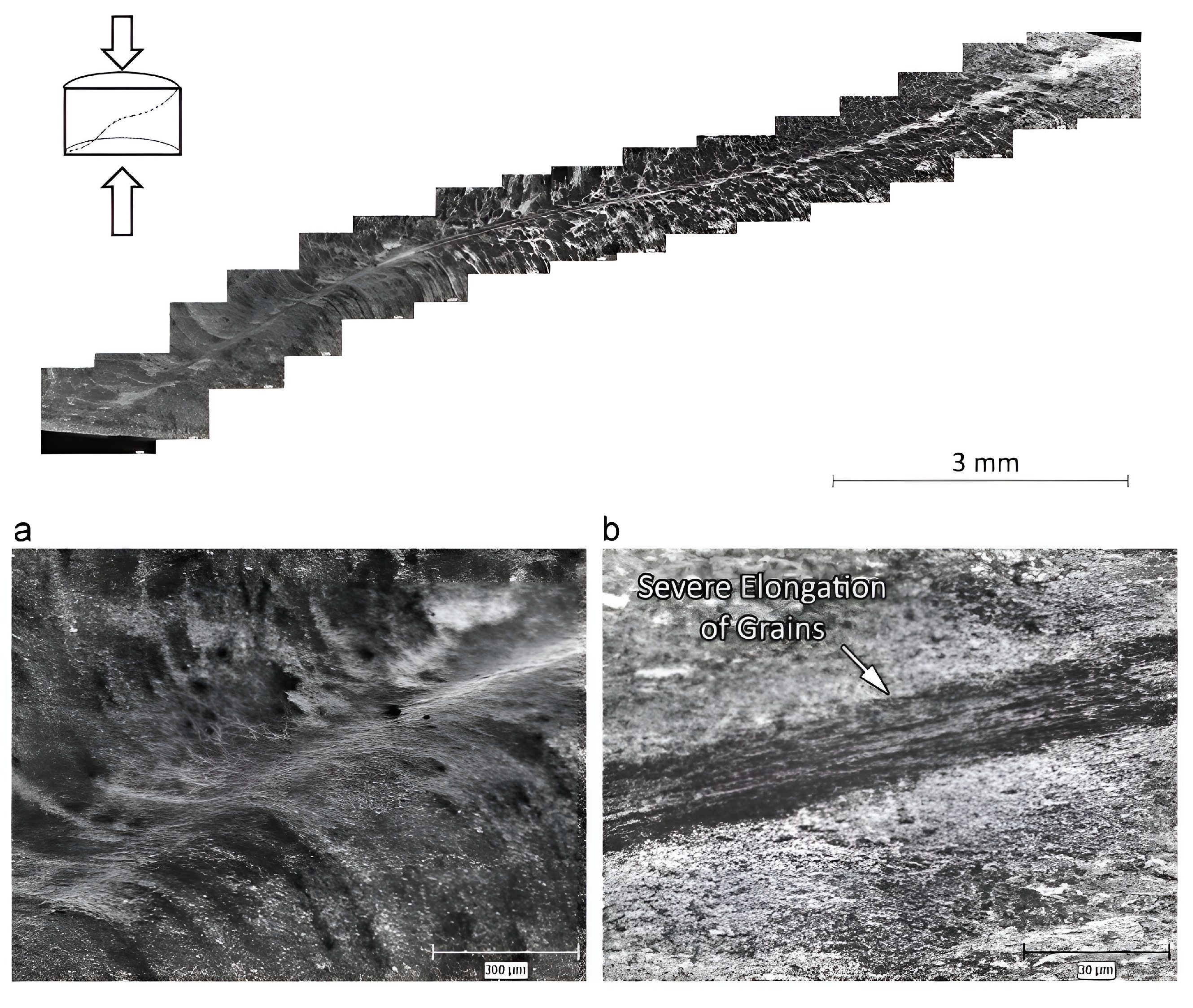 Metals 13 01988 g002