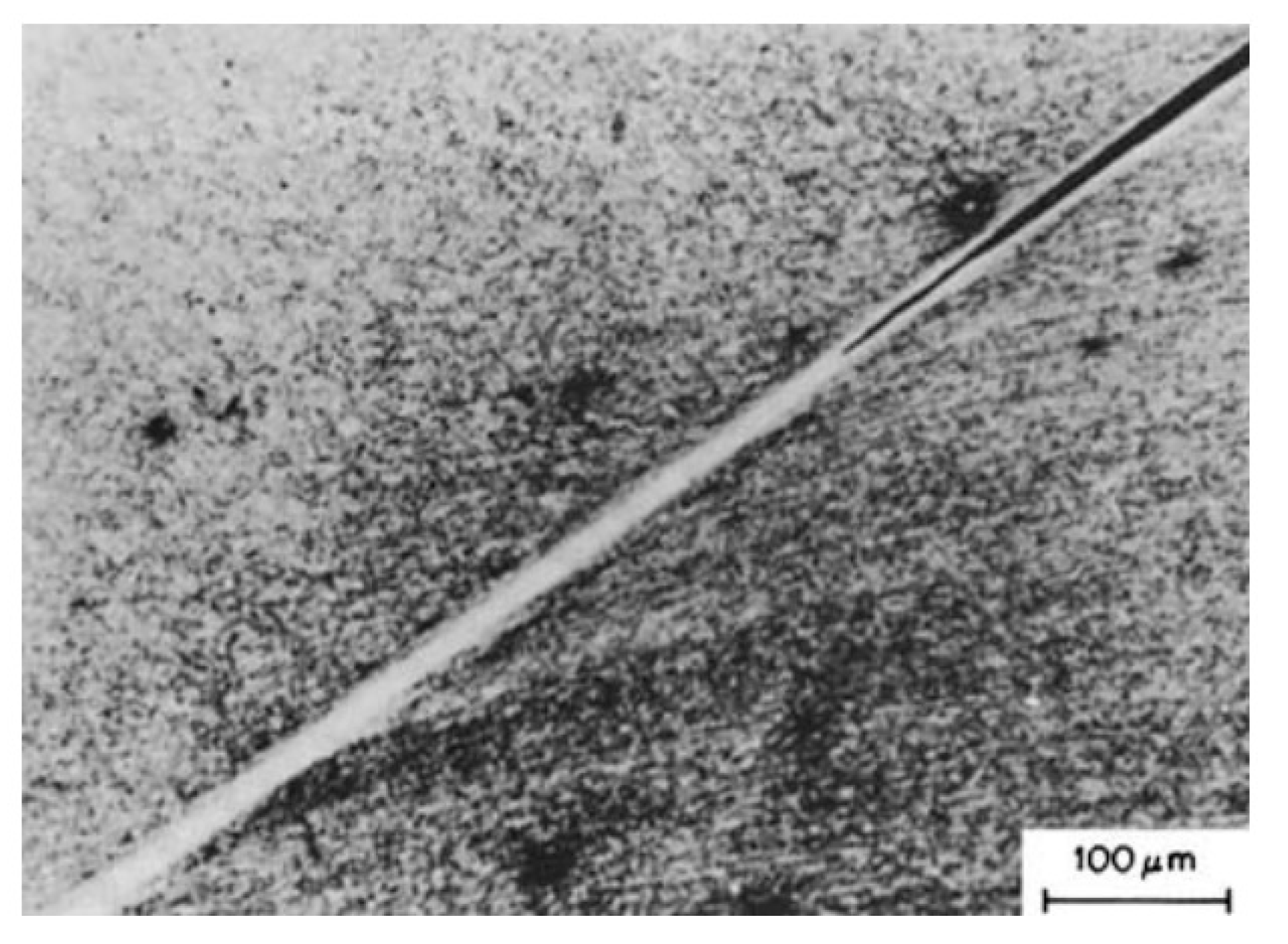 Metals 13 01988 g006