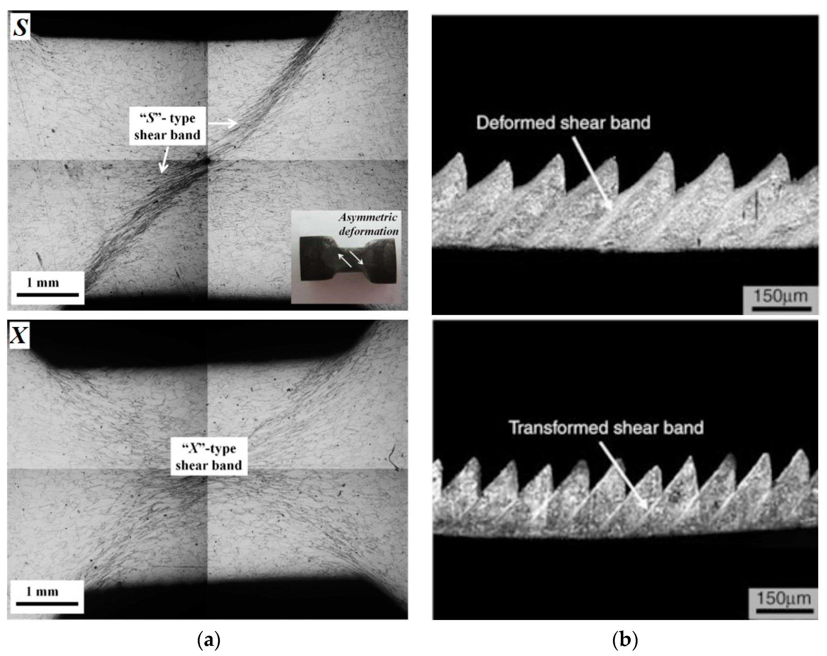 Metals 13 01988 g033