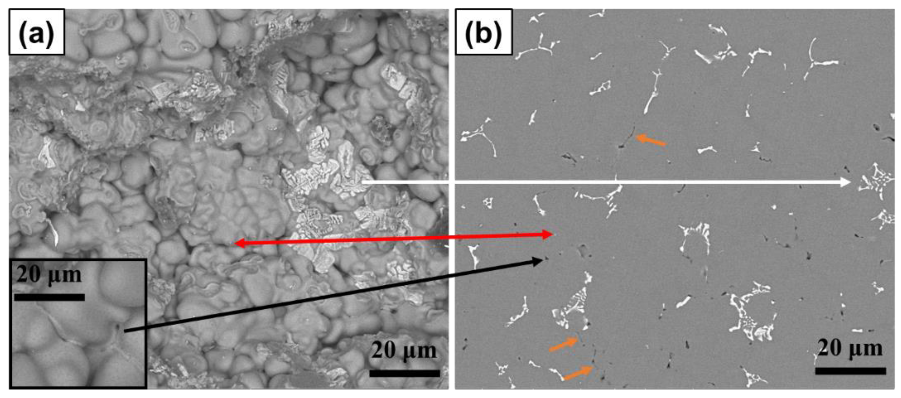 Metals 14 00015 g005